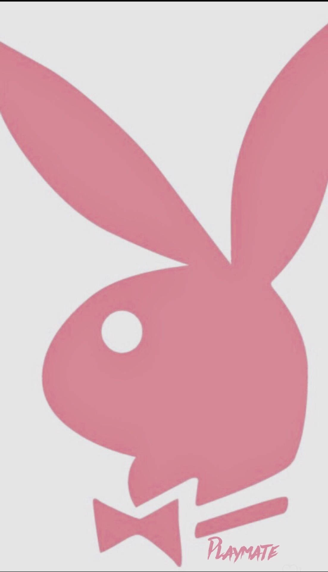 灰色背景上帶有蝴蝶結和Playmate文字的粉紅色Playboy兔子標誌。