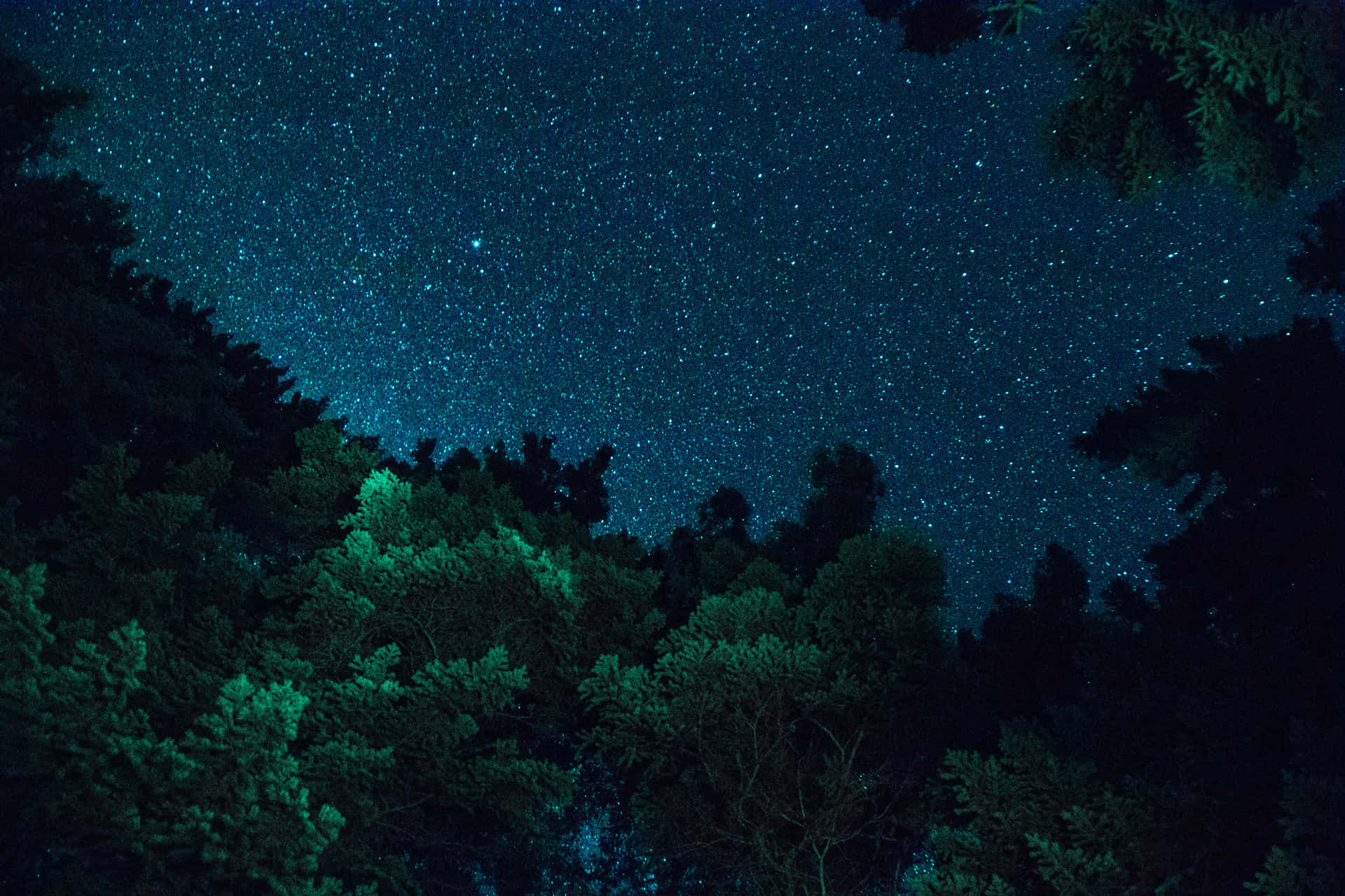 發光綠色森林樹木上方的星空夜空