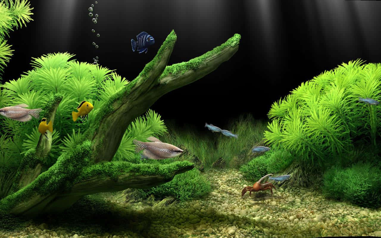苔蘚樹幹與草叢魚缸背景 壁紙 — 充滿活力的水族館場景，色彩繽紛的魚兒在茂密的綠色植物和長滿苔蘚的浮木間游動，光線柔和。