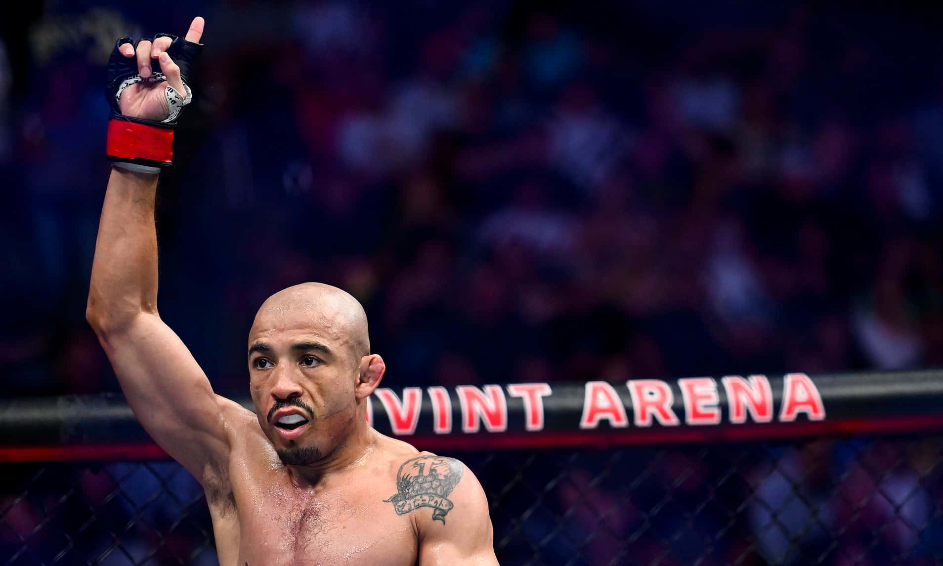 MMA拳手在Vint Arena的八角籠中慶祝勝利。