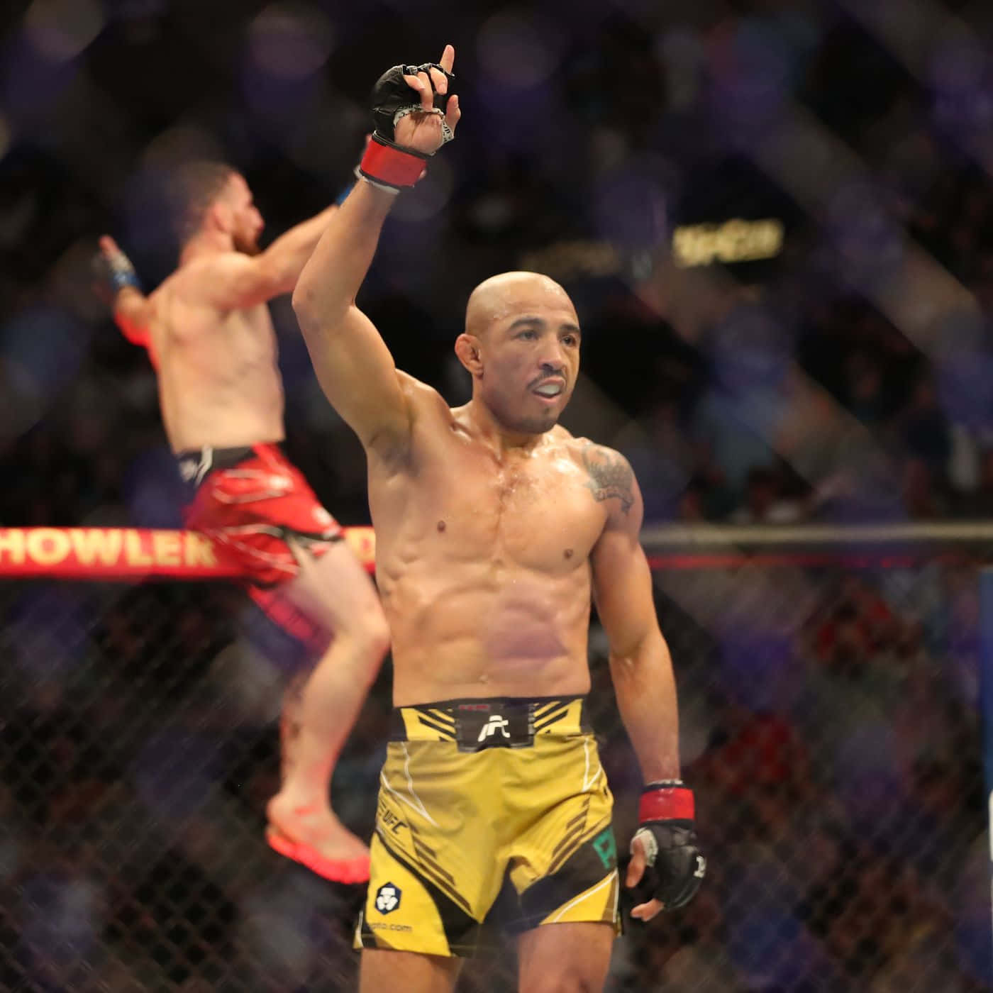 MMA選手在八角籠內舉拳慶祝勝利。