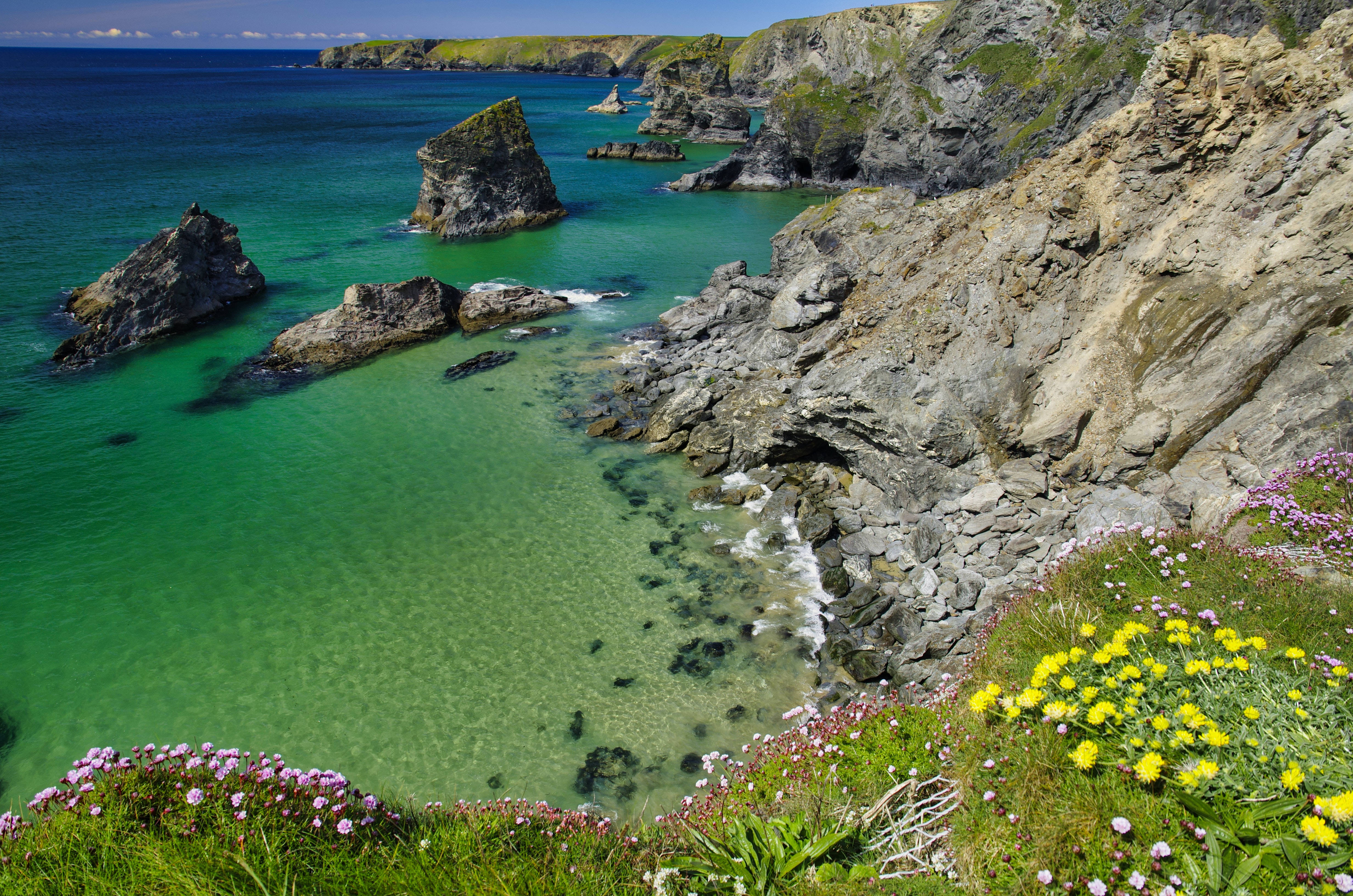 英國康沃爾海岸的碧綠海景 壁紙 — 充滿活力的碧綠海水拍打著崎嶇的懸崖，懸崖上點綴著紫色和黃色的野花，在清澈的藍天下。