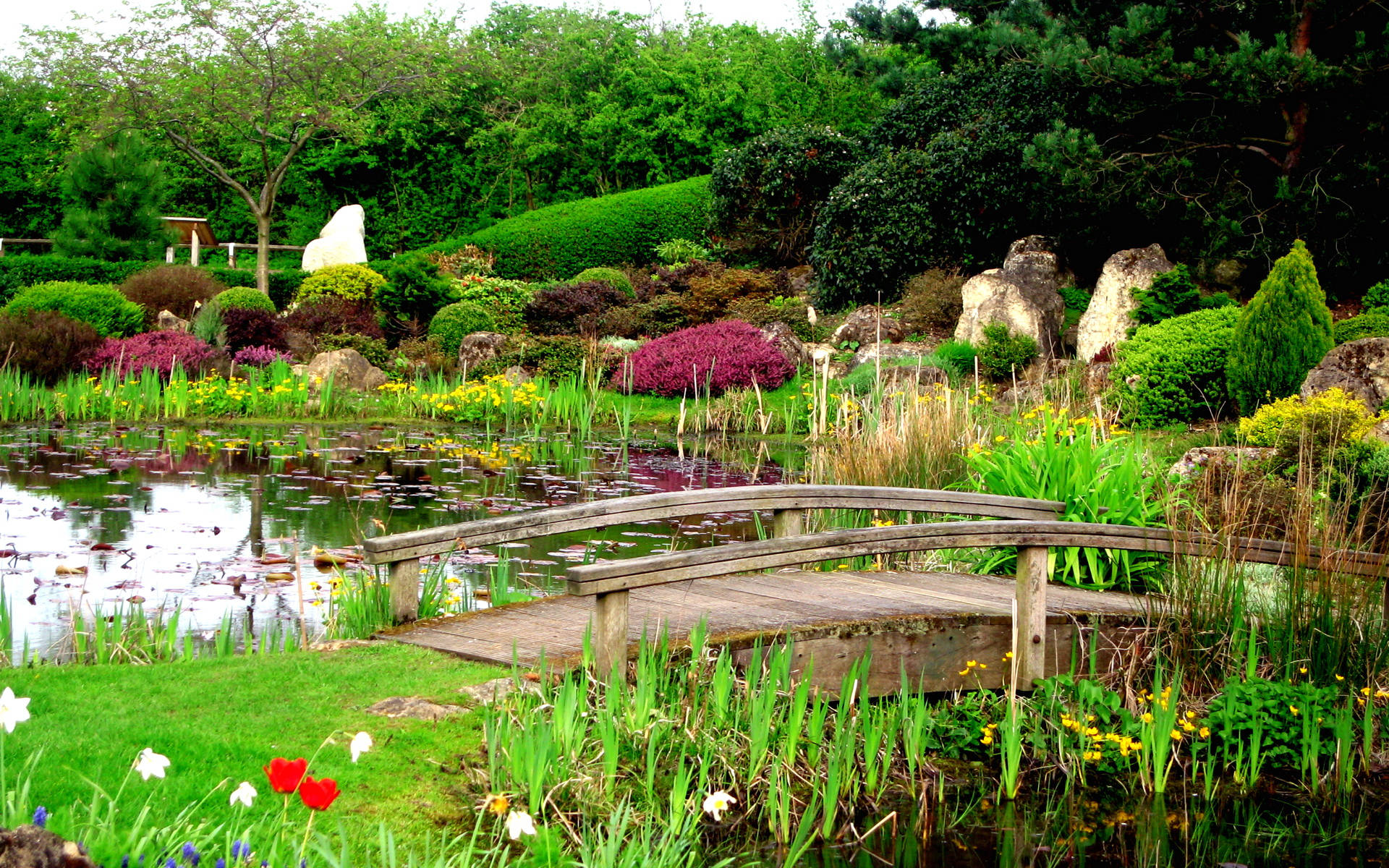 英國植物園 壁紙 — 一座木製拱橋橫跨寧靜的池塘，周圍環繞著充滿活力的綠植和色彩繽紛的花朵，在柔和的光線下。