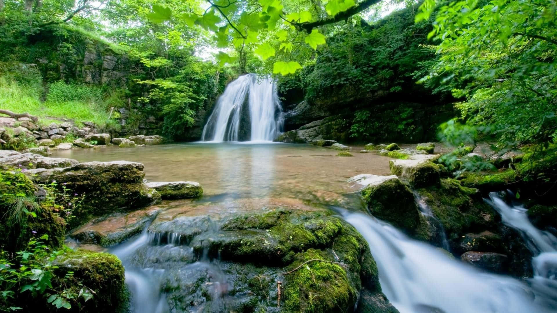 英國馬爾漢村珍妮特瀑布桌面壁紙 壁紙 — 一道寧靜的瀑布在明亮的日光下傾瀉入一個長滿苔蘚的水池，周圍是茂密的綠色森林。