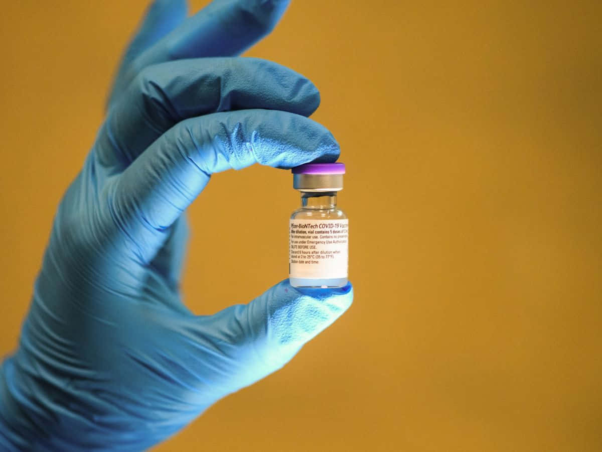 戴藍色醫用手套的手拿著輝瑞COVID-19疫苗瓶。