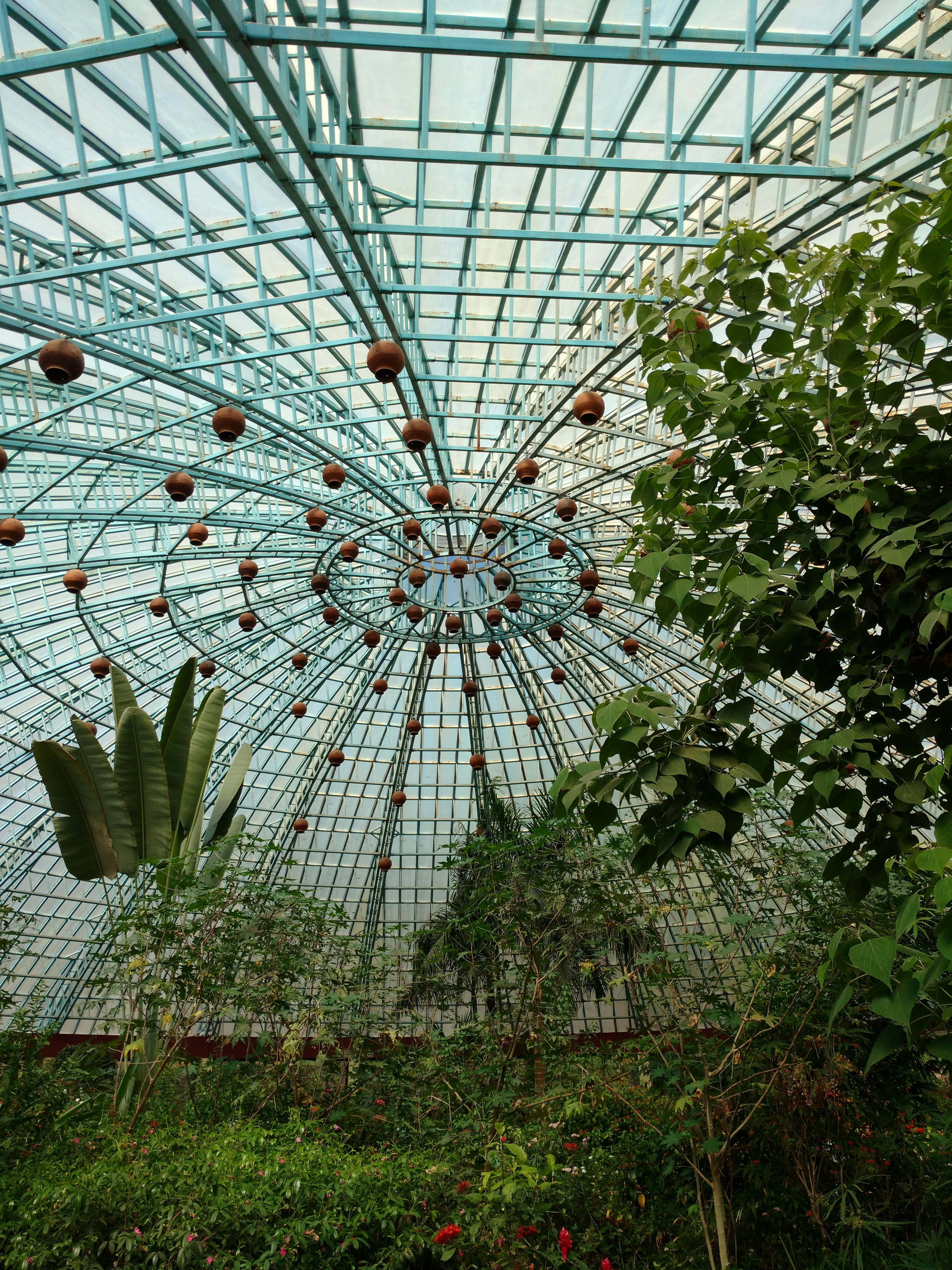 Butterfly Park 桌布 壁紙 — 茂盛的綠色植物在一個巨大的玻璃穹頂下茁壯成長，穹頂帶有幾何金屬框架和懸掛的赤陶花盆。