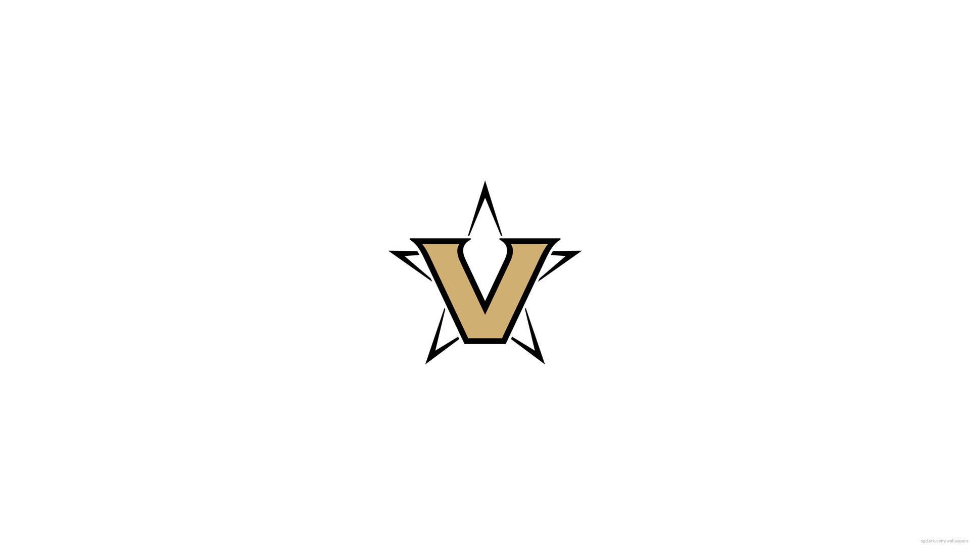 白色背景上黑色星星內的金色字母V。