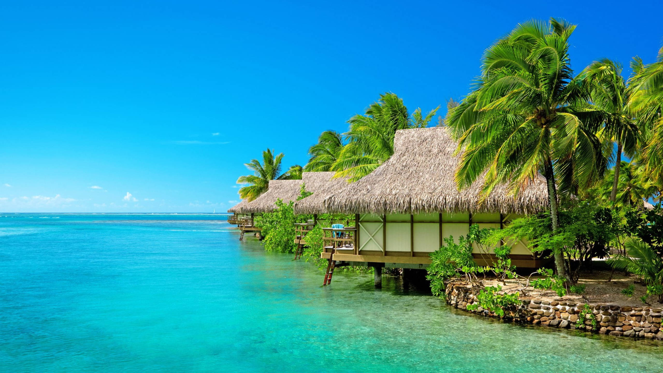 Beach Desktop 桌布 壁紙 — 茅草屋頂的水上平房坐落在棕櫚樹之間，位於清澈藍天下的碧綠潟湖上。