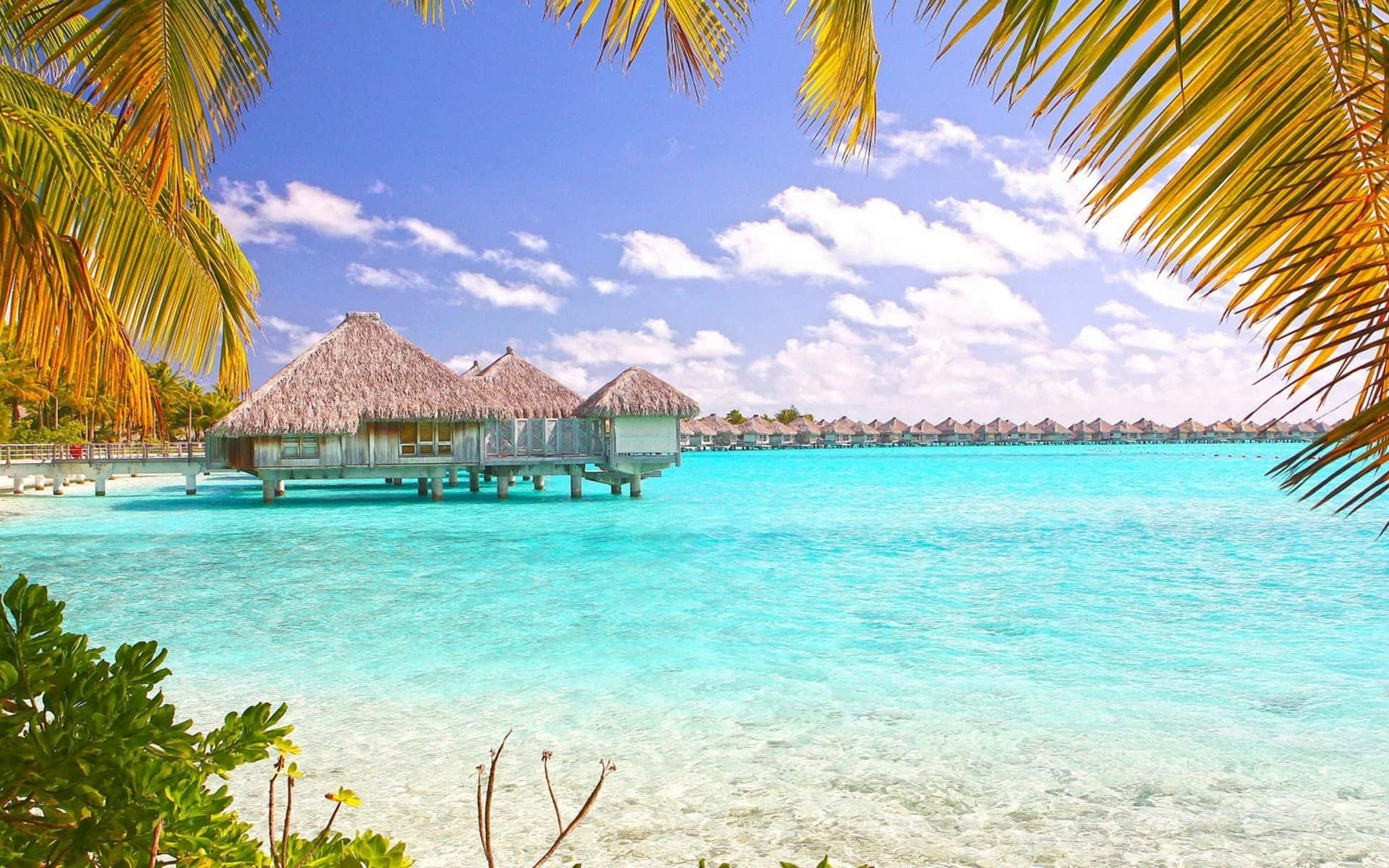Tropical Beach 桌布 壁紙 — 茅草屋頂的水上平房漂浮在晶瑩剔透的碧綠海水上，周圍環繞著鮮豔的棕櫚葉，背景是明亮的藍天。