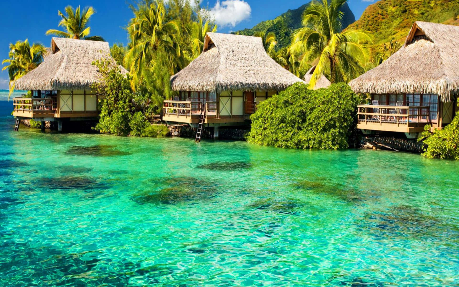 Philippines 桌布 壁紙 — 茅草屋頂的水上平房漂浮在清澈碧綠的海水上，周圍環繞著茂密的綠色棕櫚樹和山脈，在明亮的藍天下。