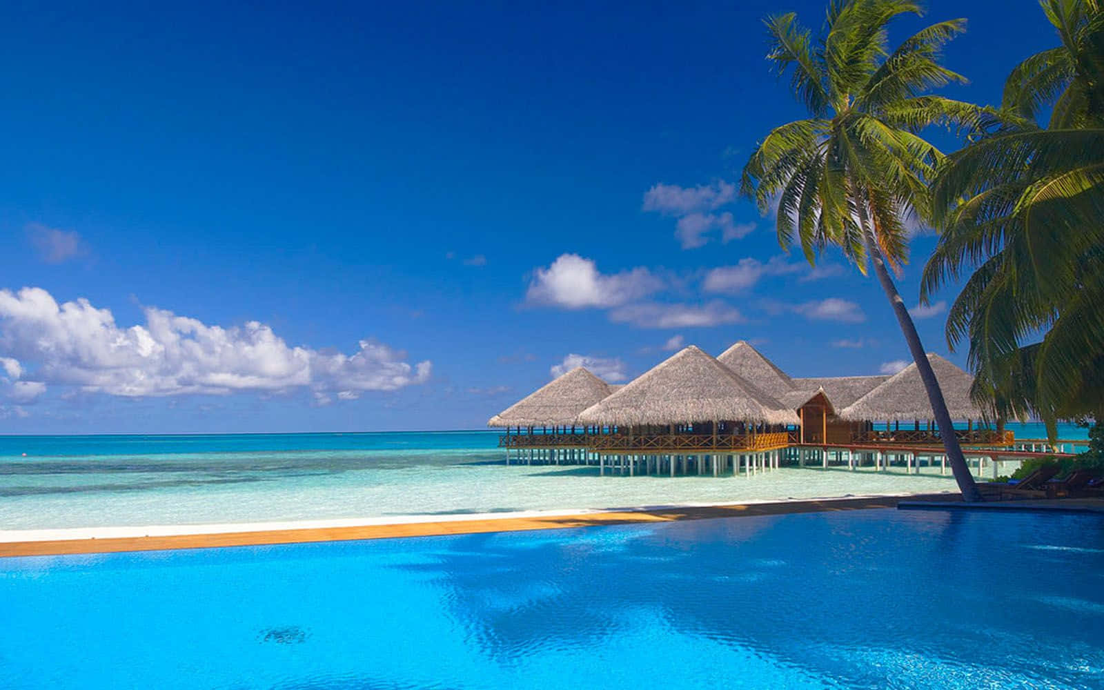 Maldives Beach 桌布 壁紙 — 茅草屋頂的水上平房漂浮在碧綠的海水上，旁邊有一個游泳池，上方是藍天白雲。