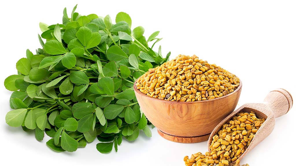 茴香籽與植物 壁紙 — 新鮮葫蘆巴葉和金黃色種子放在木碗和勺子中，以乾淨的白色背景展示。