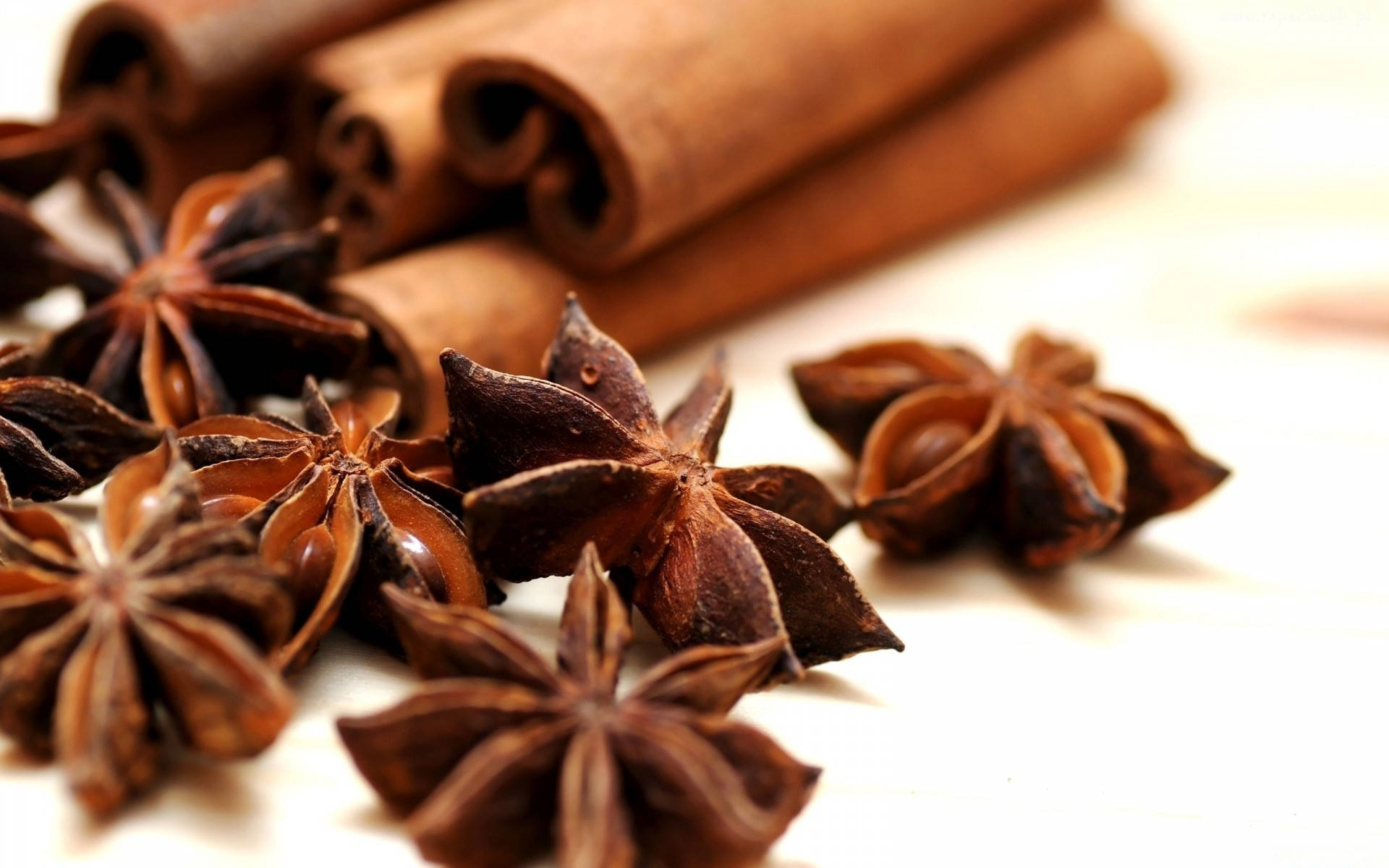 白色背景上的八角茴香和肉桂棒