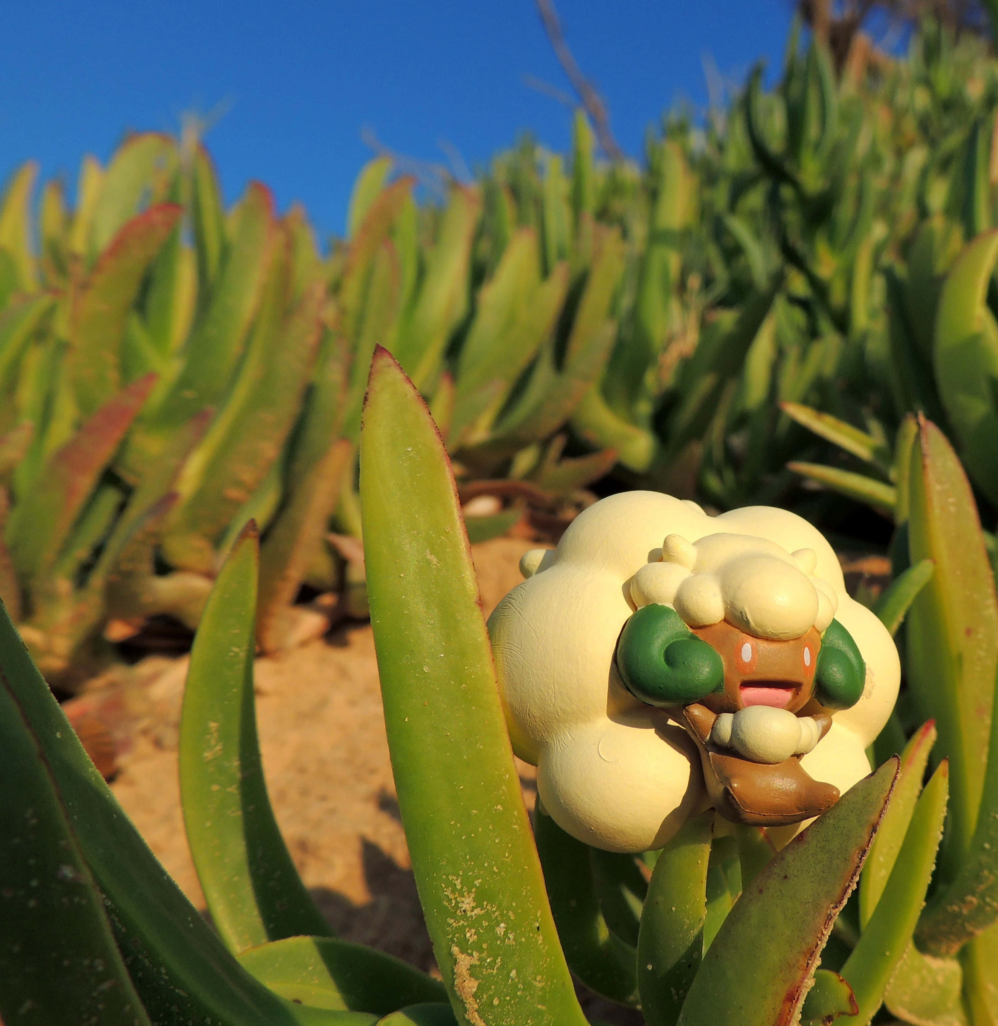 草叢中的Whimsicott 壁紙 — 一個奶油色、像羊的寵物小精靈公仔，藏在綠色多肉植物的葉子之間，背景是晴朗的藍天。