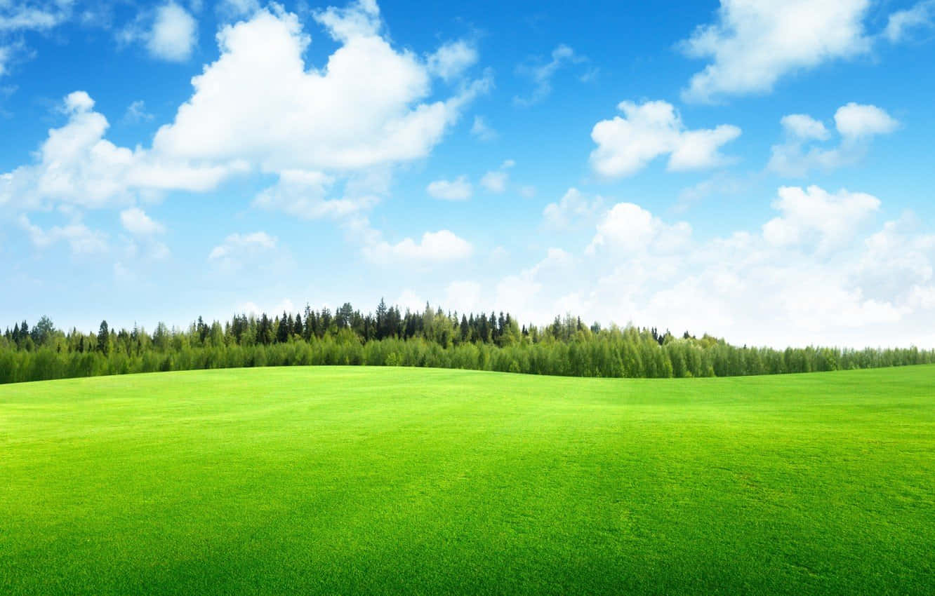 草地與天空背景 壁紙 — 廣闊的翠綠色草地延伸在明亮的藍天下，點綴著蓬鬆的白雲和遠處的樹線。