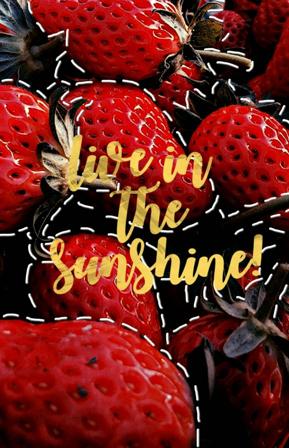 成熟草莓的特寫，金色勵志文字寫著 live in the sunshine。