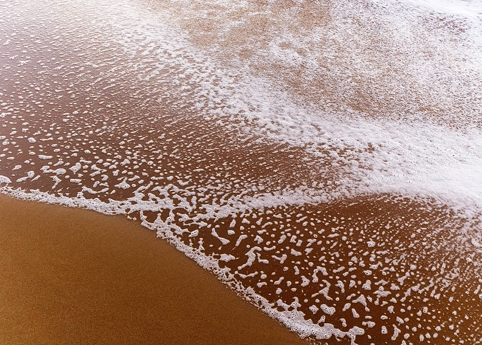 泡沫海浪在海灘的濕潤金色沙灘上退去。