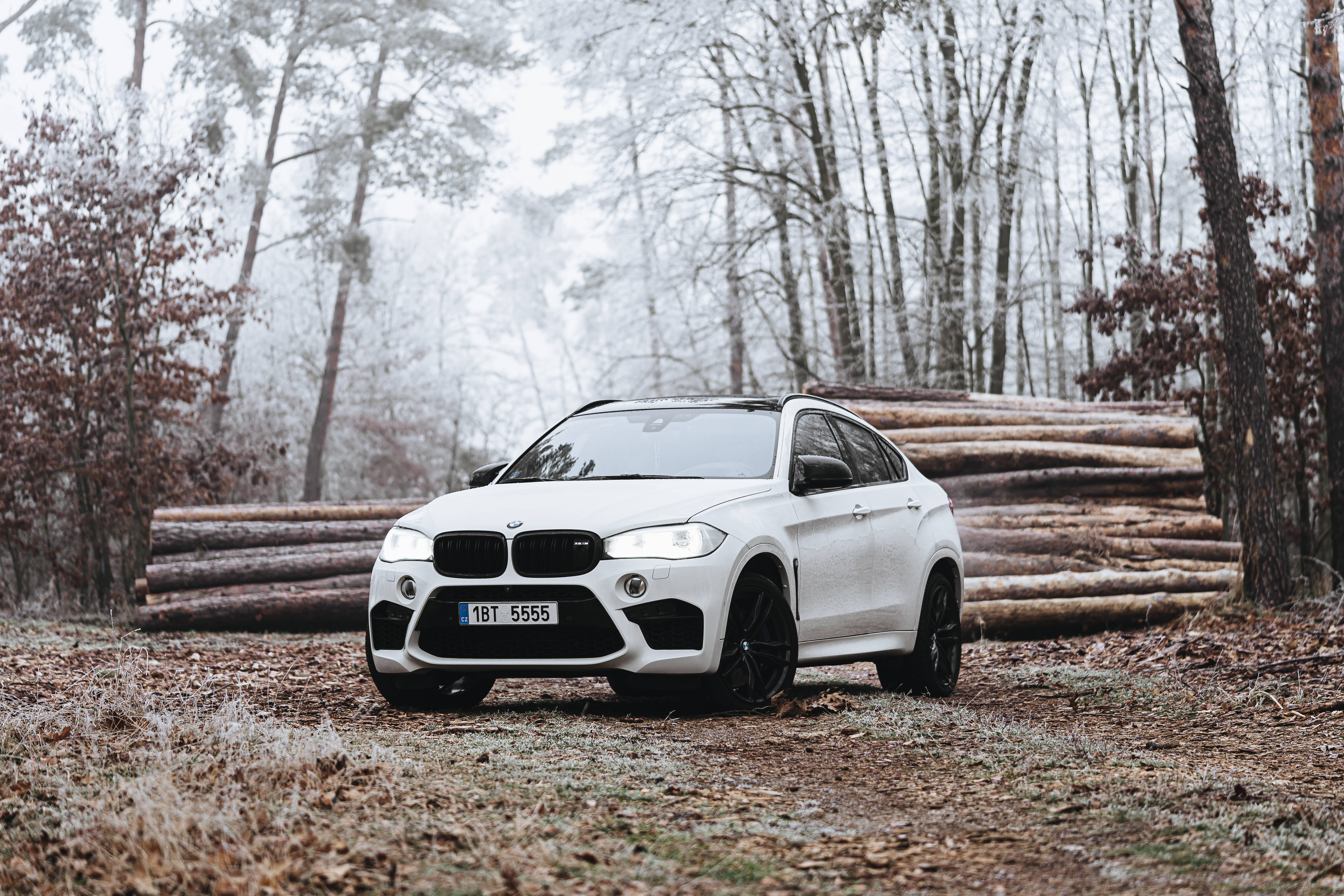 莊嚴白色BMW M置身寧靜森林景觀 壁紙 — 一輛白色BMW X6 M在霧氣瀰漫的冬日天空下，停放在結霜的森林小徑旁，旁邊堆疊著圓木。