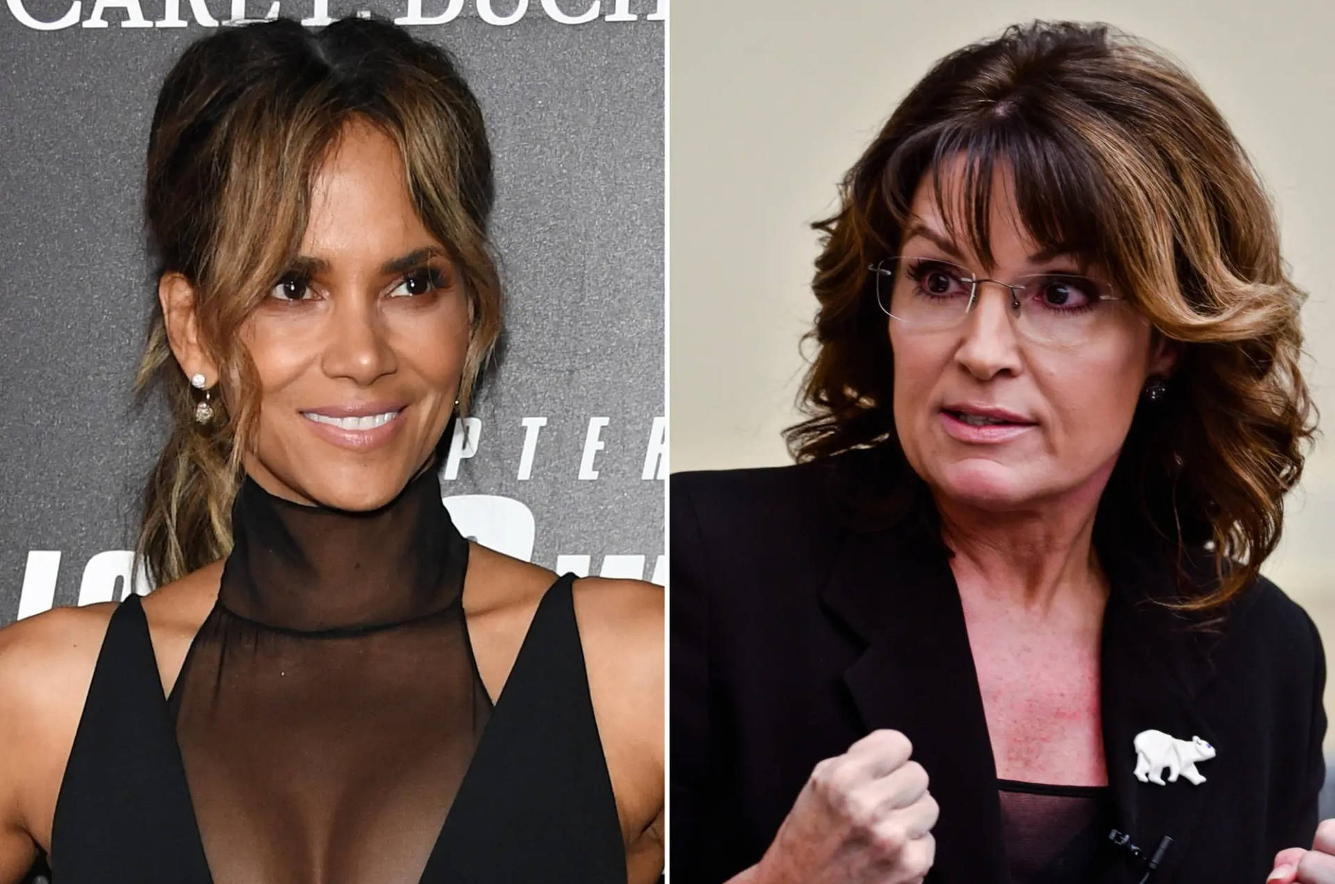 Halle Berry 和 Sarah Palin 分別在正式的肖像中並排。