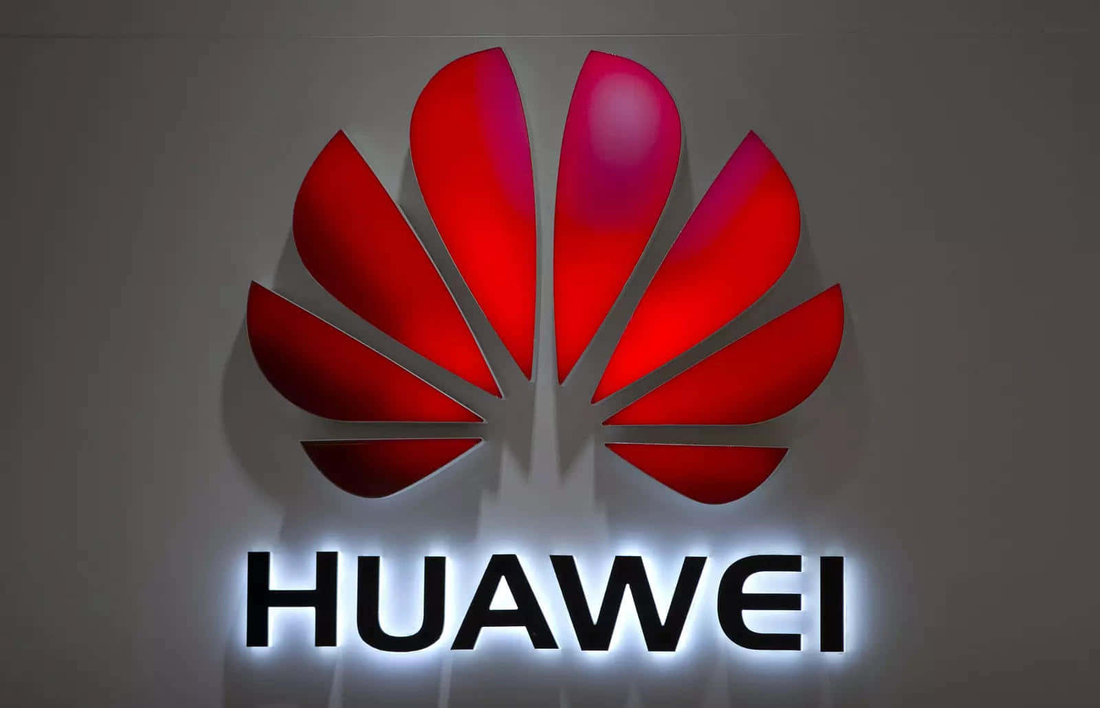 Huawei標誌，紅色花瓣和發光黑色文字，灰色牆壁。