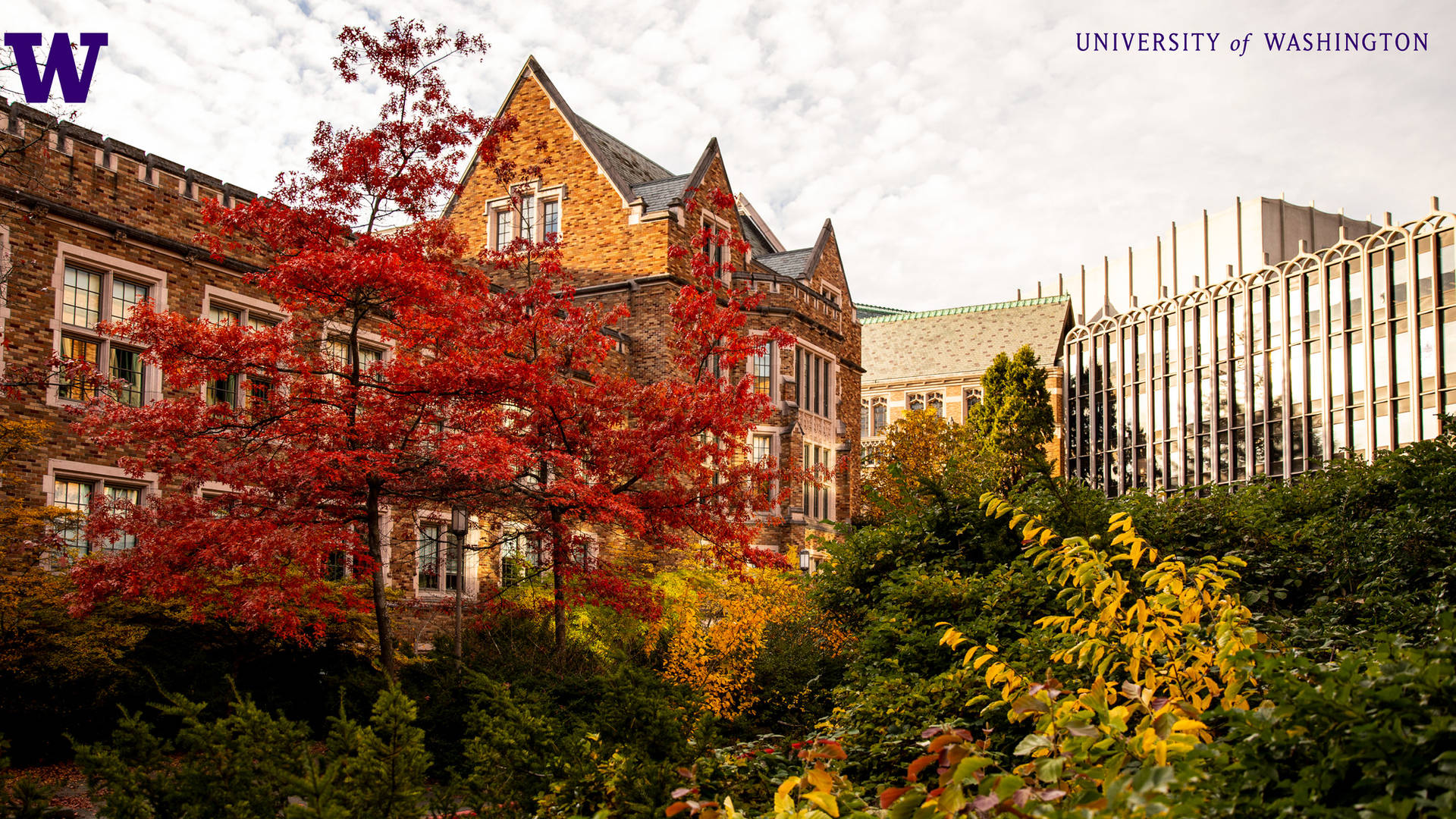 秋季校園場景，有紅樹和歷史悠久的大學建築。
