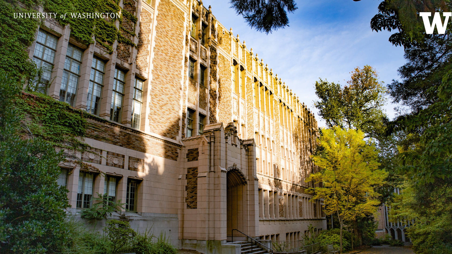在明亮的陽光下，歷史悠久的大學建築，有常春藤和秋天的樹木。