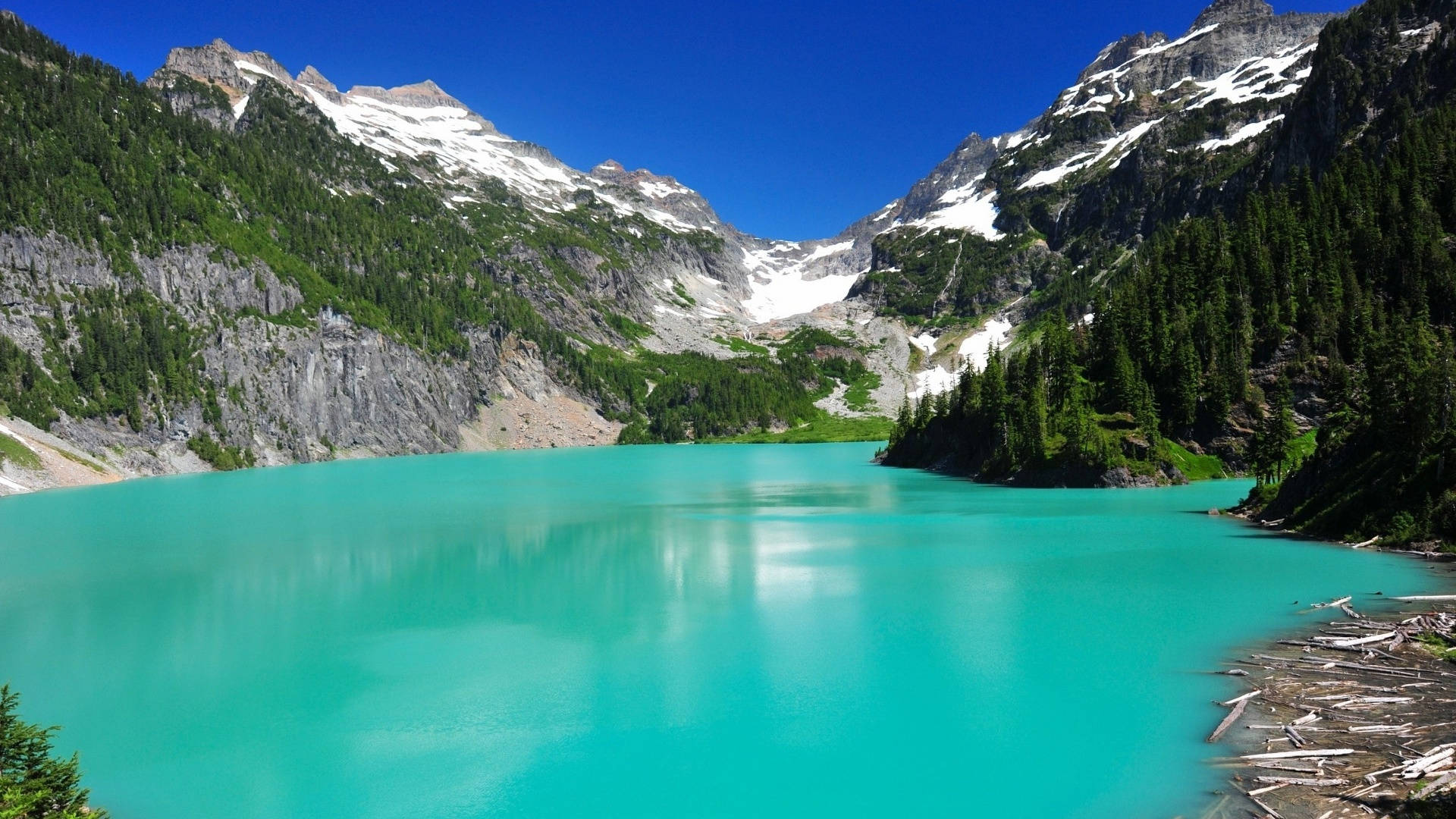 華盛頓布蘭卡湖風景 壁紙 — 一個令人驚嘆的綠松石高山湖，在清澈的藍天下映照著白雪覆蓋的山峰和茂密的常綠森林。
