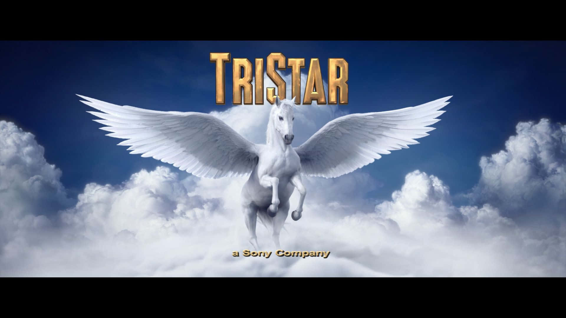 白翼馬在雲層上飛翔，帶有Tristar標誌