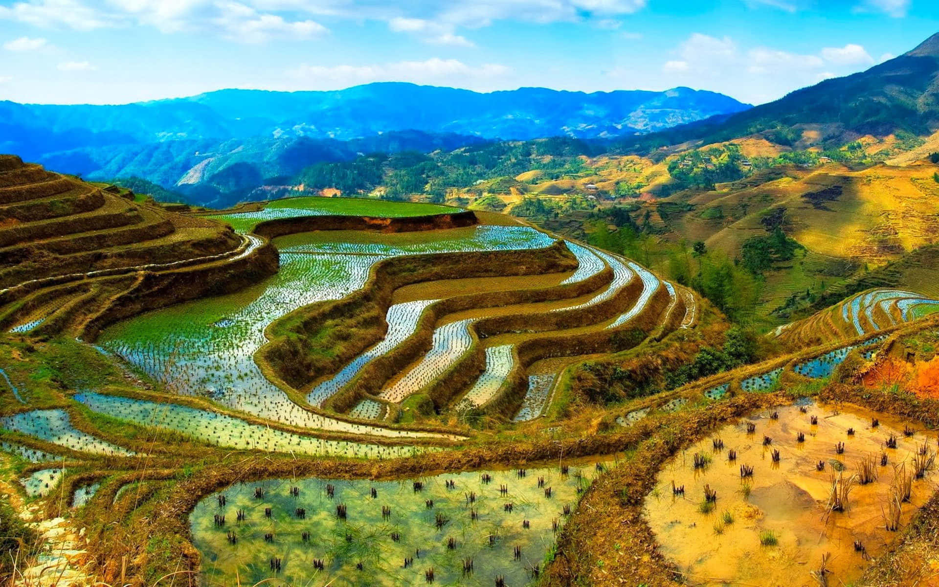 菲律賓歷史性巴納威梯田的壯麗景色 壁紙 — 充滿活力的梯田在陽光明媚的山巒上層層疊疊，映襯著藍天白雲。