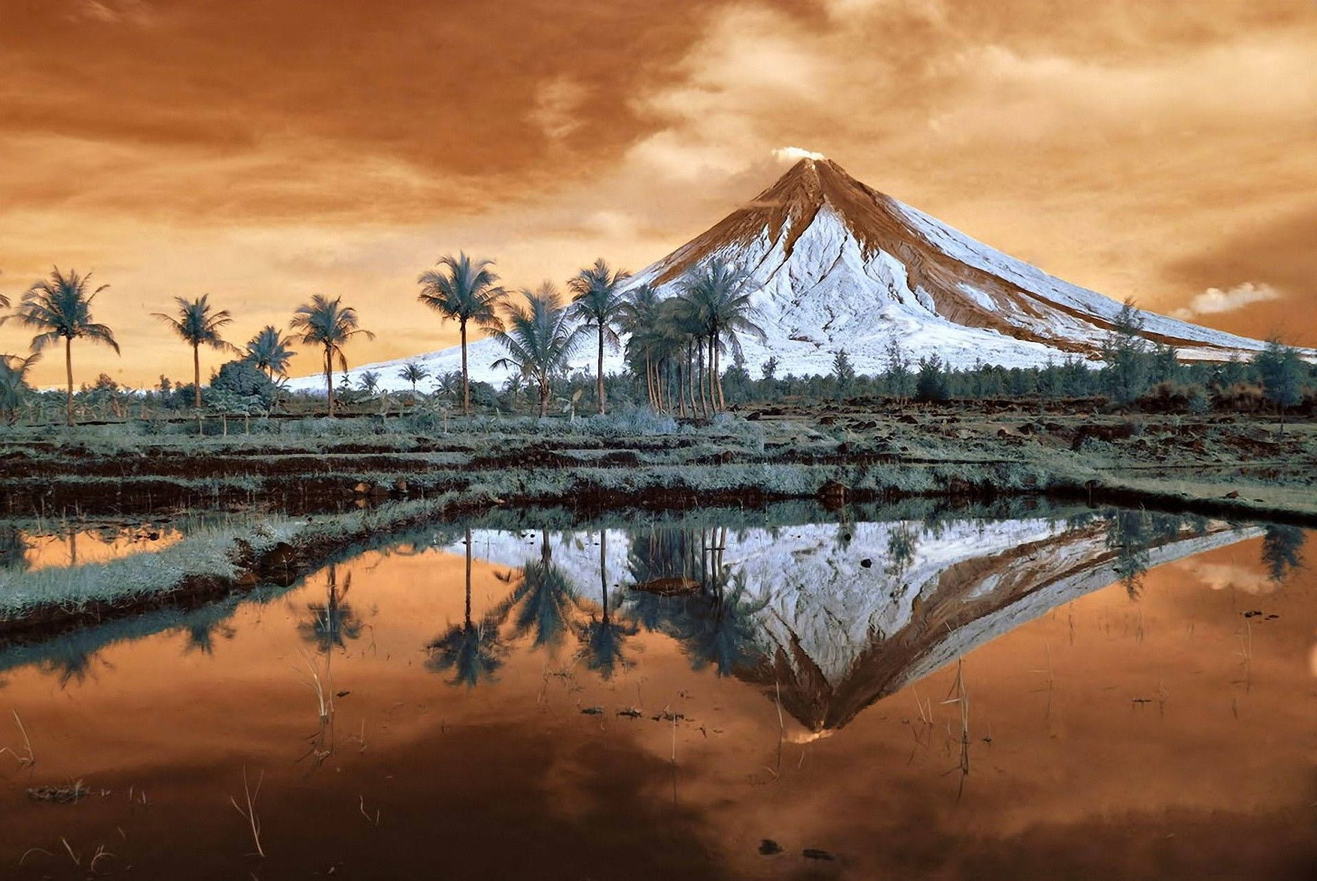 菲律賓阿爾拜的馬約恩火山 壁紙 — 一座積雪火山聳立在棕櫚樹後方，棕櫚樹倒映在平靜的池塘中，上方是溫暖的橙色天空。