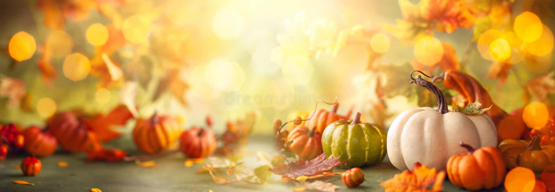 秋收場景，南瓜和樹葉在金色陽光下。