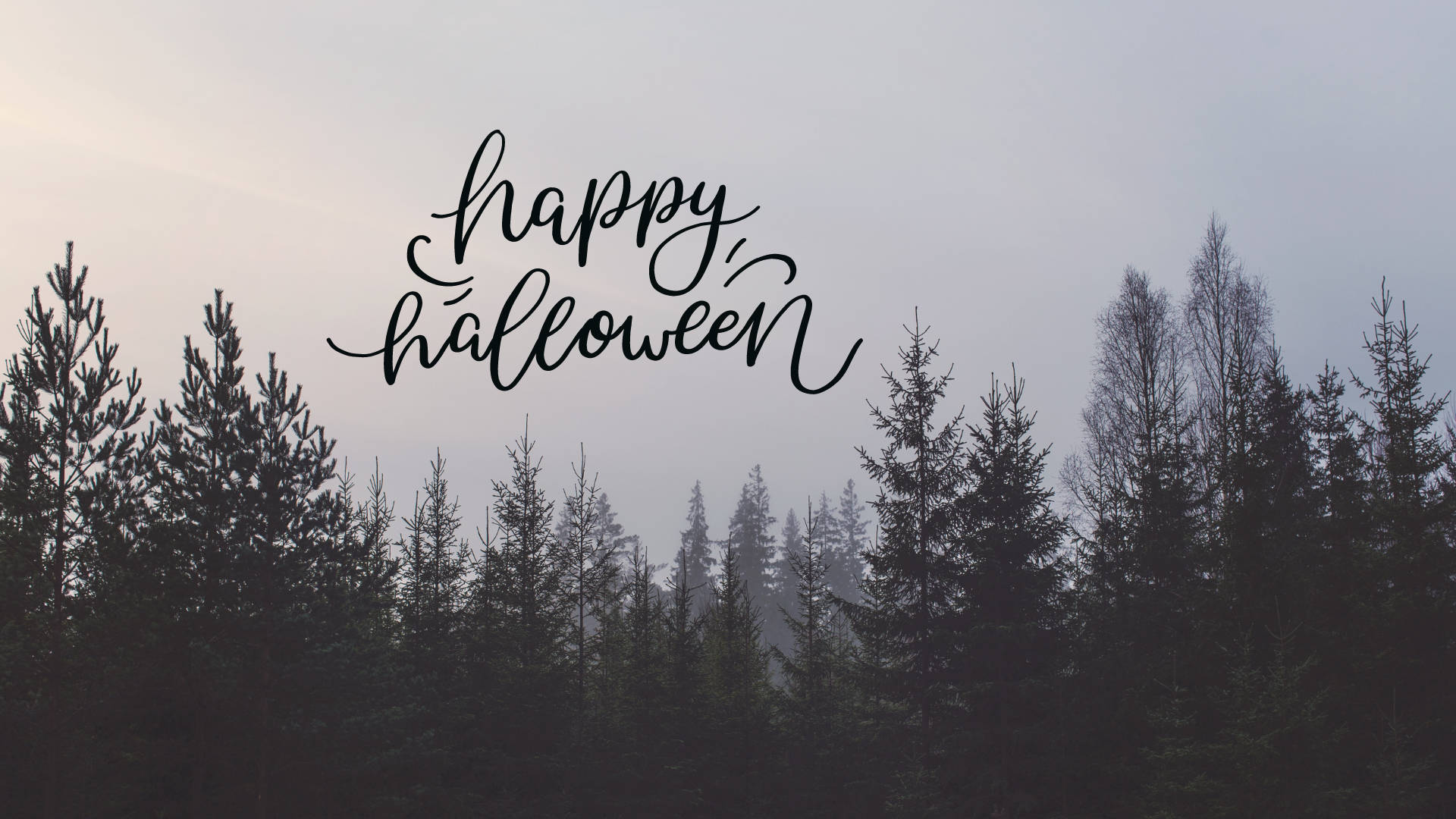 在霧氣籠罩的松樹林上方以草書顯示的 Happy Halloween 文字