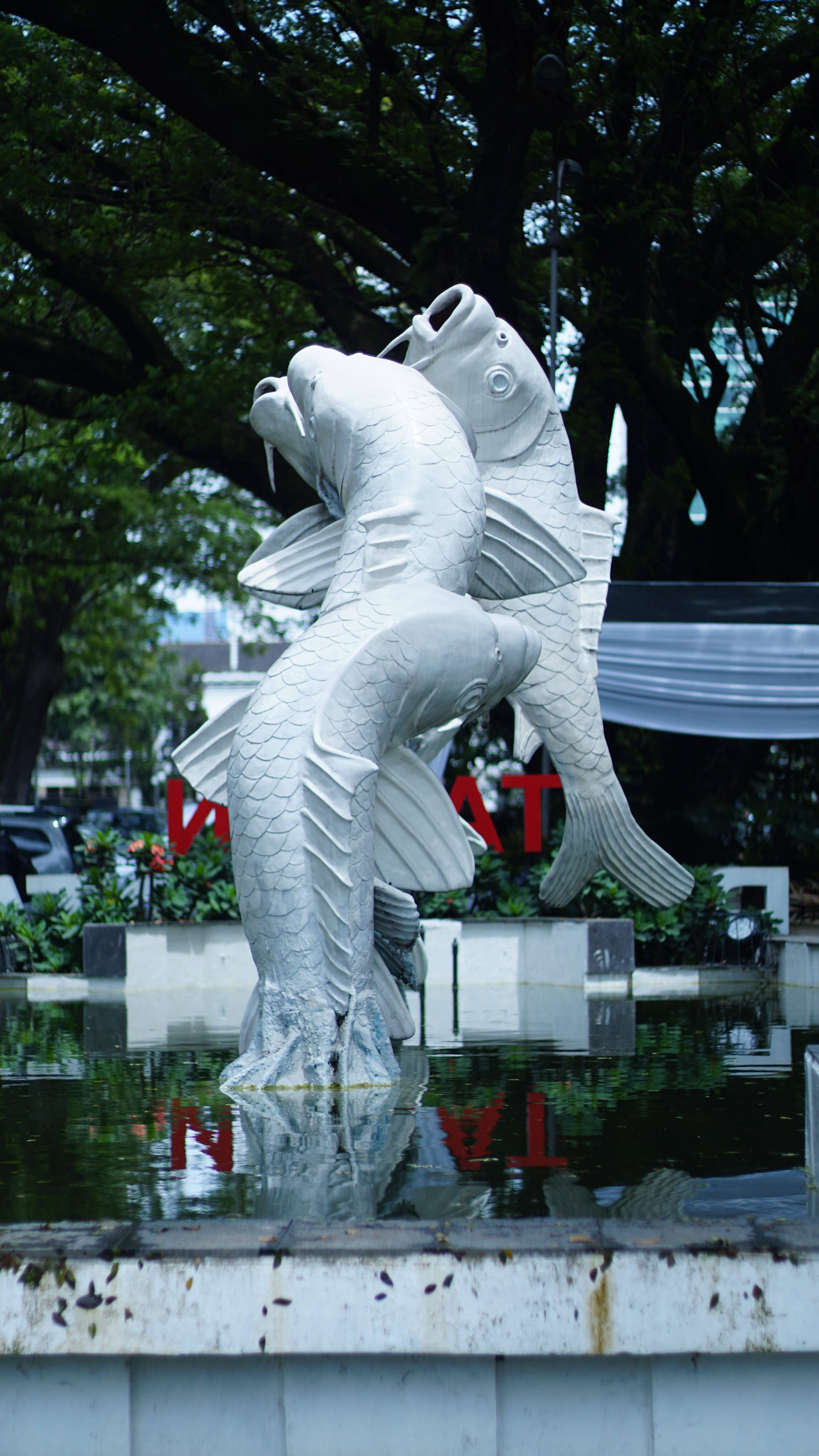 萬隆魚雕像紀念碑 壁紙 — 兩條白色魚雕塑從淺水池中動態躍起，周圍環繞著茂密的綠樹。