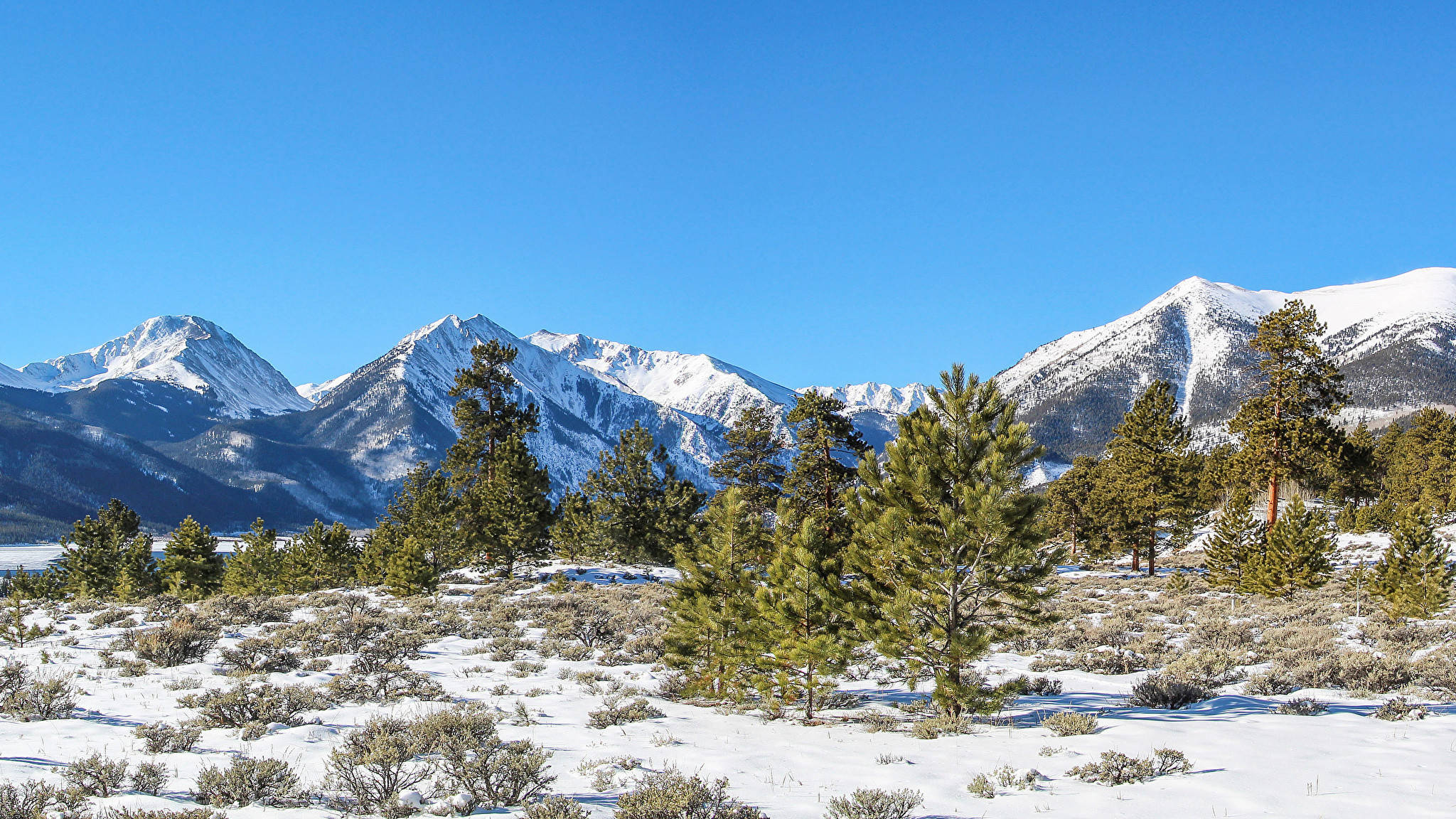 落基山國家公園冬季風景 壁紙 — 白雪覆蓋寧靜的山谷，點綴著常青樹，天空湛藍。