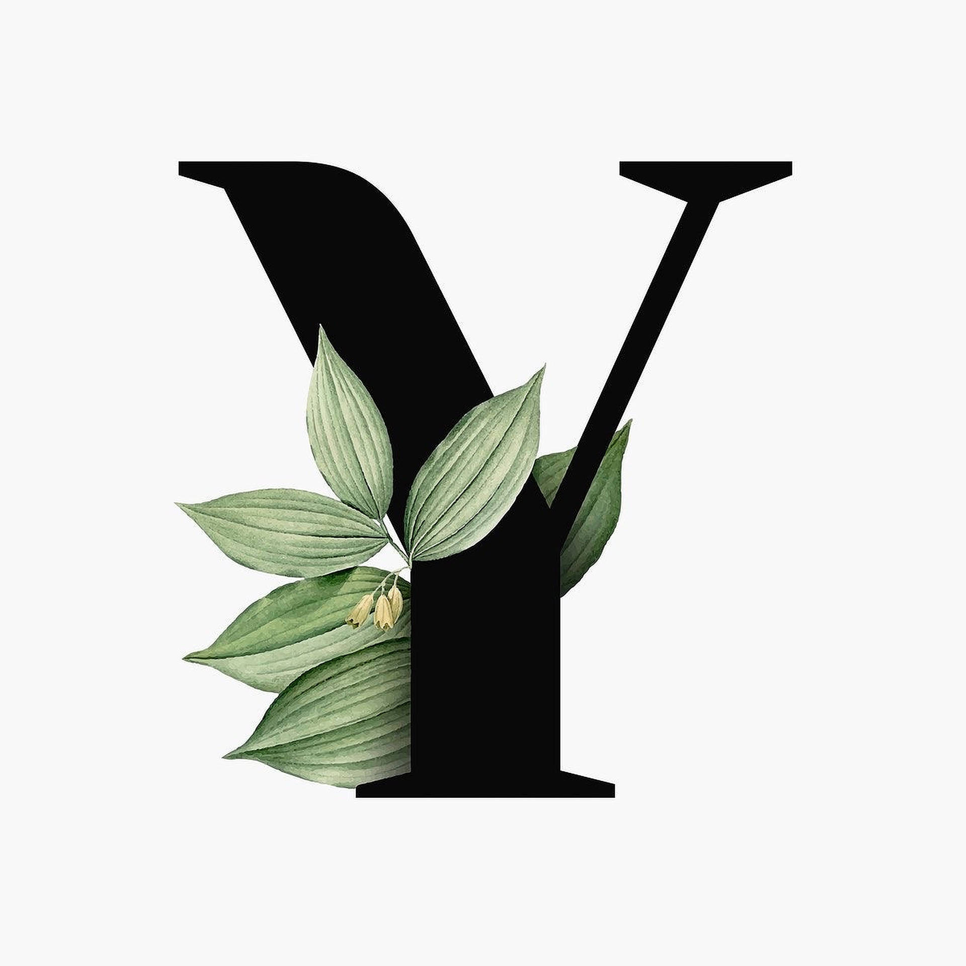 葉子裝飾字母Y 壁紙 — 大膽的黑色字母Y，點綴著精緻的綠葉和細小的黃花，襯以潔白的背景。