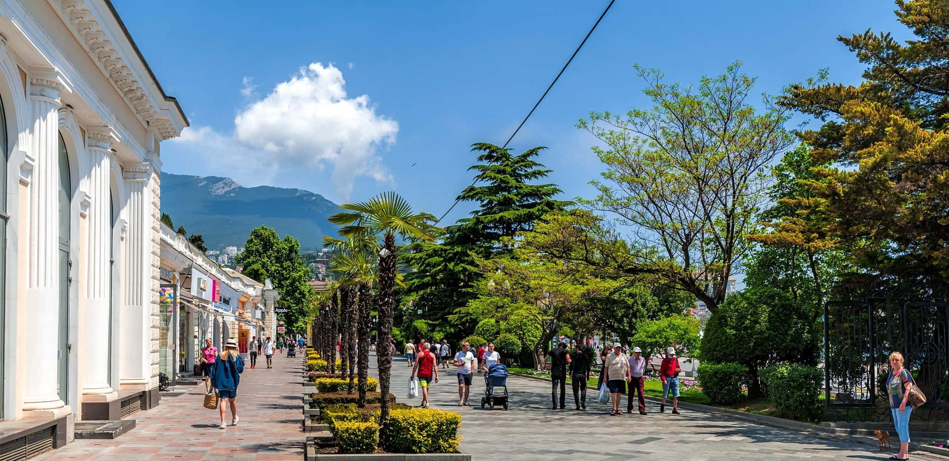 葉爾加瓦海濱旅遊景點 壁紙 — 一條陽光明媚的行人街，兩旁種滿棕櫚樹和古典建築，藍天白雲。