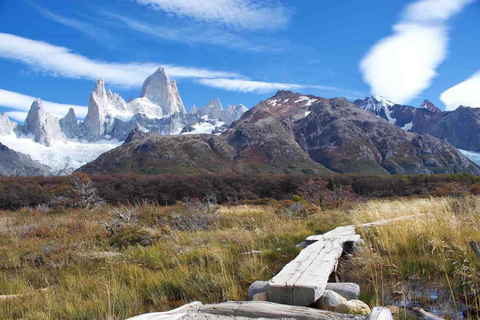 著名的El Chalten絕美風景 壁紙 — 一條木製小徑蜿蜒穿過金色草地，通往白雪覆蓋的山峰，天空湛藍，雲朵輕柔。