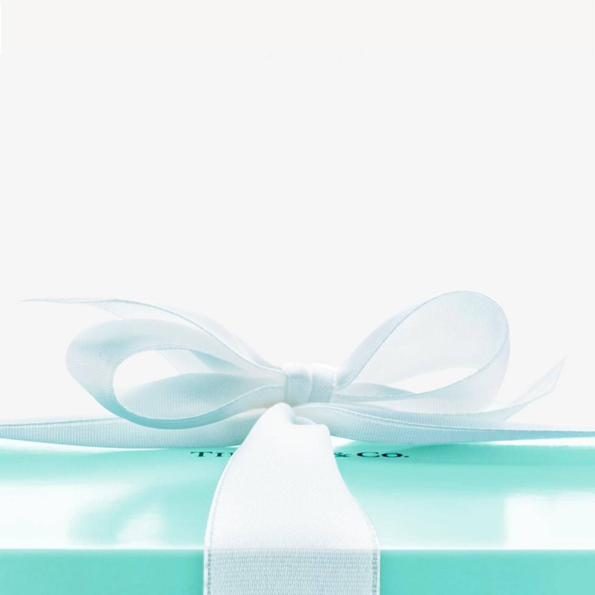 Tiffany & Co. 禮物盒附白色蝴蝶結