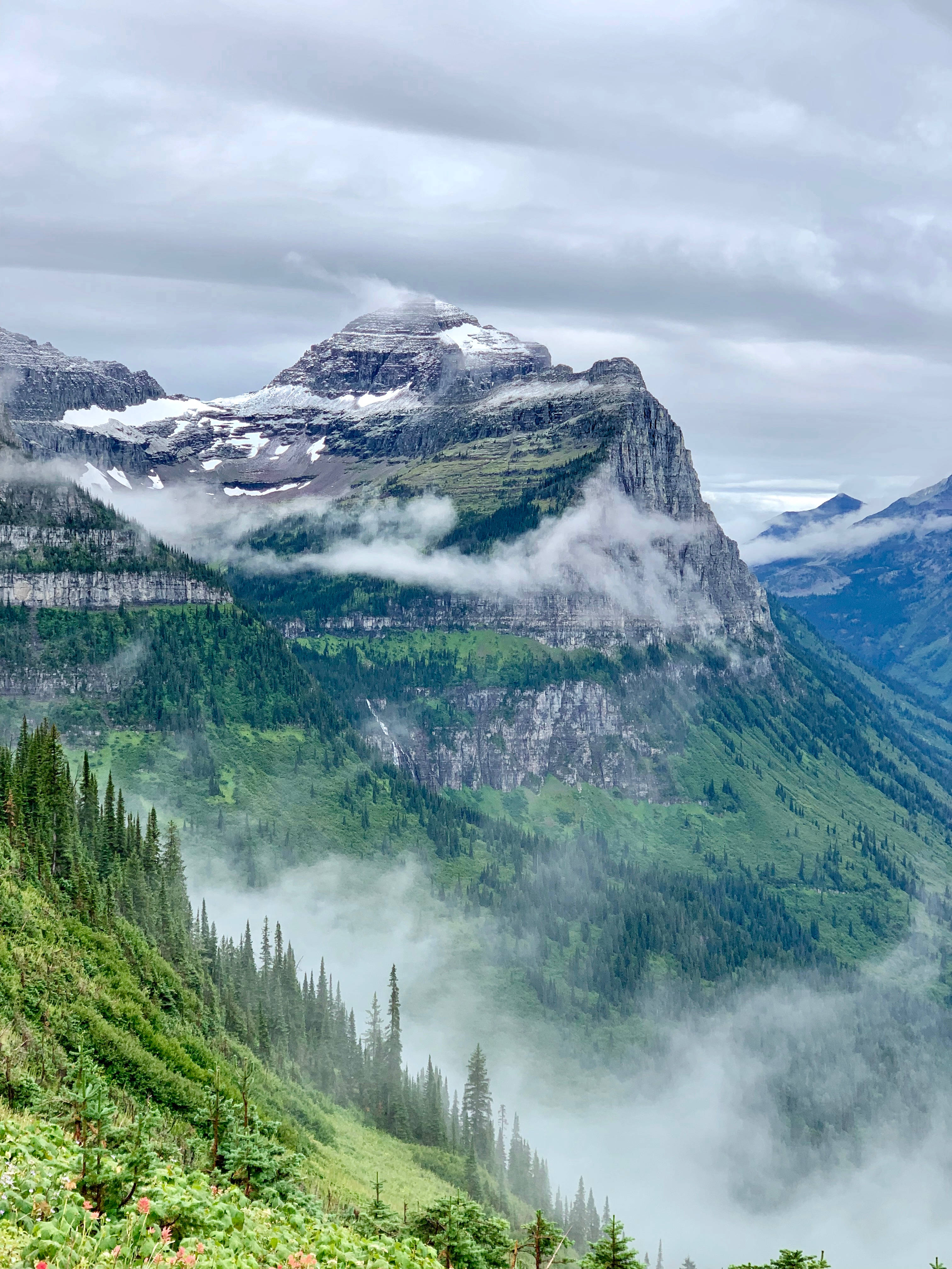 蒙大拿州森林山脈 iPhone 壁紙 — 雲霧繚繞的山峰，積雪的山脊，在陰天之下，聳立於鬱鬱蔥蔥的綠色森林之上。