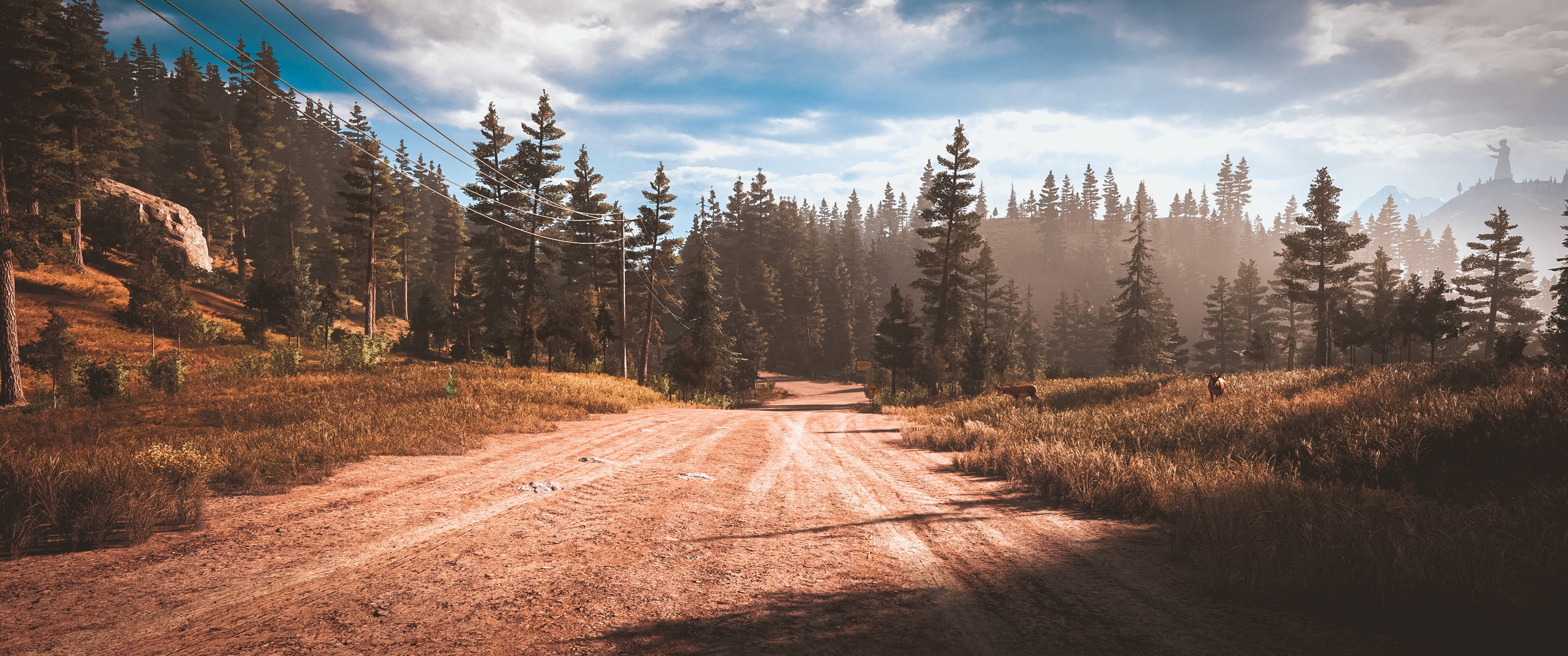 蒙大拿州鄉間道路風景 壁紙 — 一條蜿蜒的泥路穿過陽光明媚的森林，高大的松樹和金色的草地，天空部分多雲。