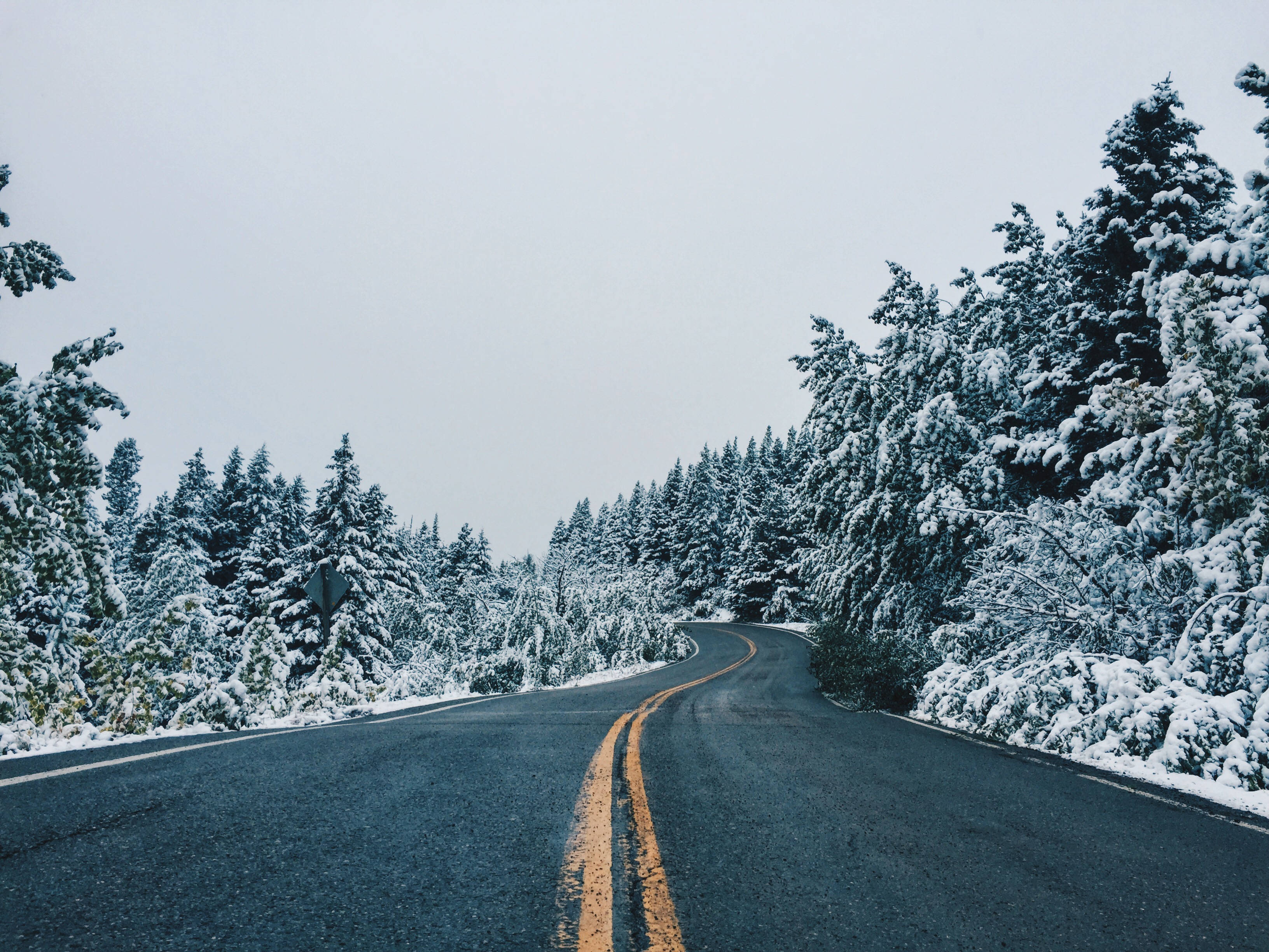 蒙大拿州雪覆道路風景 壁紙 — 一條蜿蜒的道路穿過白雪覆蓋的森林，天空陰沉，兩旁是積雪的常青樹。