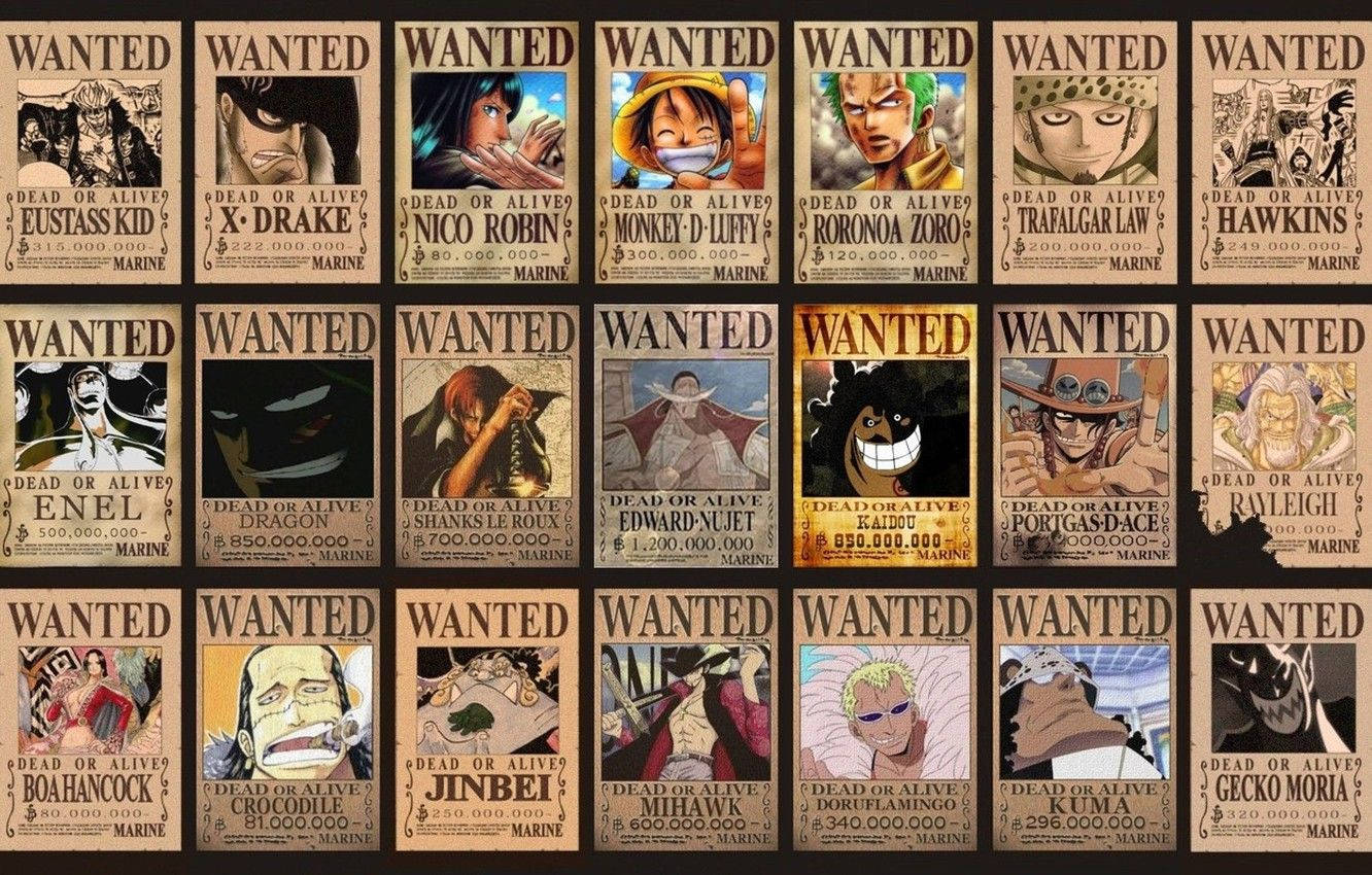 One Piece 動畫懸賞海報網格，包含角色肖像和賞金金額。