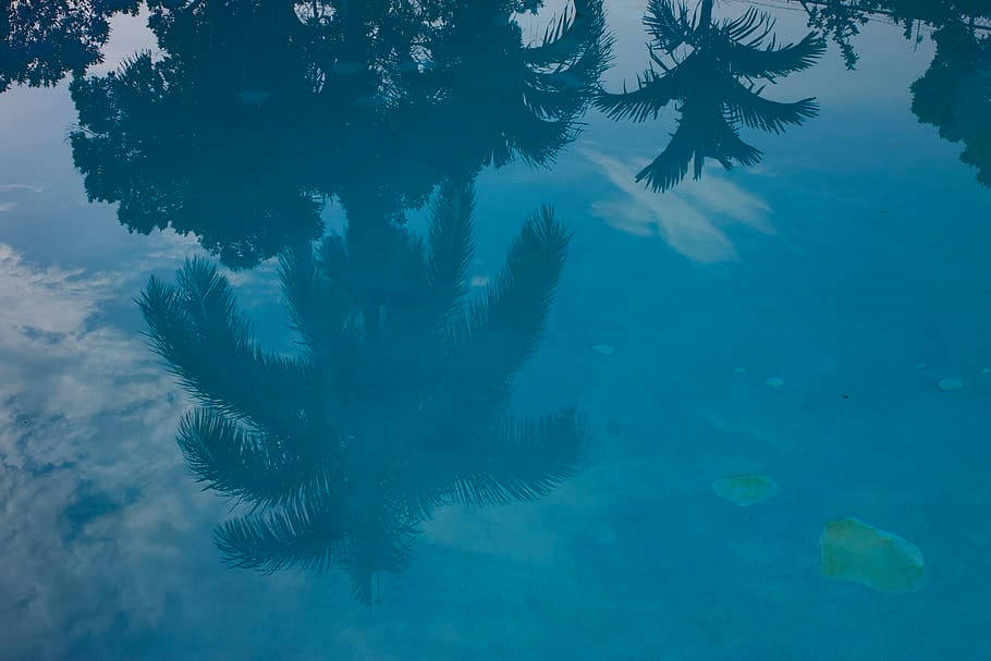 棕櫚樹的倒影在多雲的天空下，在平靜的綠松石泳池中蕩漾。