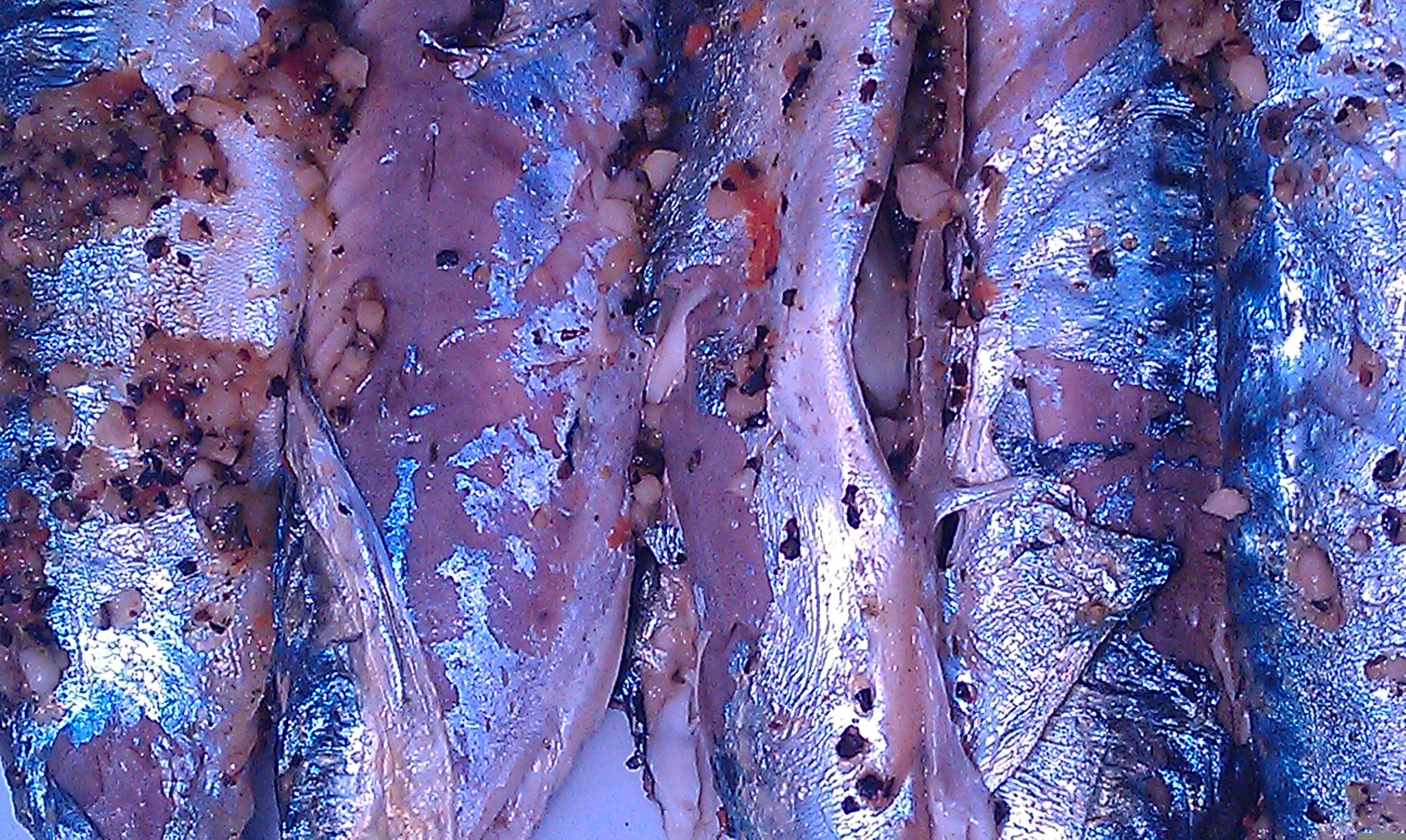 蒜醋醃製鰹魚 壁紙 — 烤沙甸魚的特寫，魚皮燒焦，蒜味調料在明亮燈光下閃閃發光。