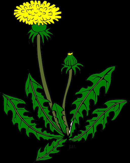 蒲公英插圖向量