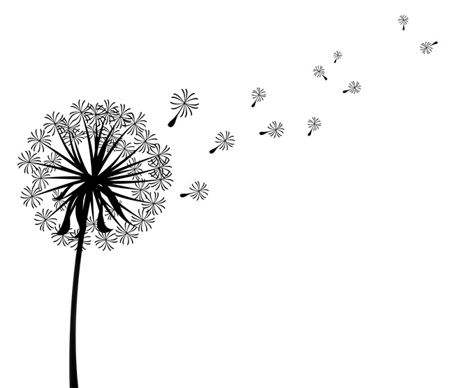 蒲公英種子隨風飄散 壁紙