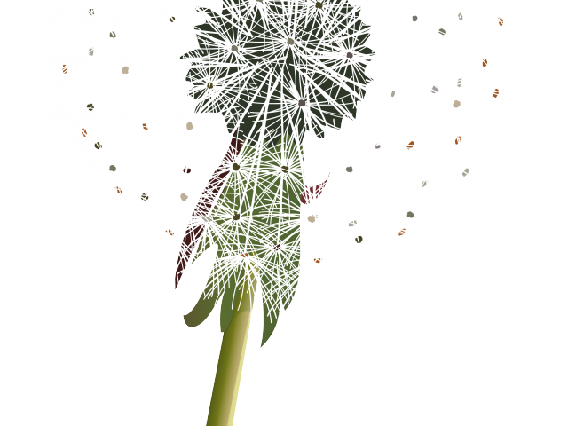蒲公英種子頭圖形 壁紙