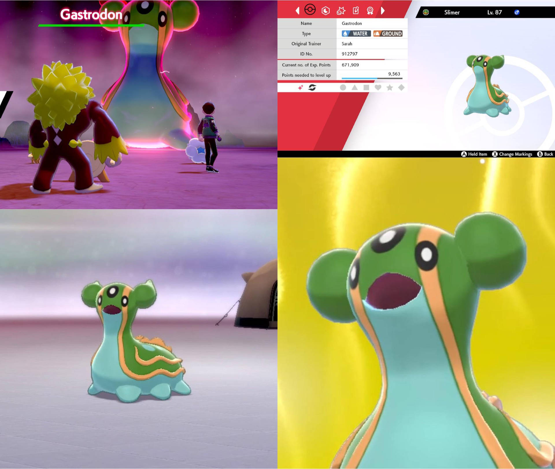 Gastropod 寶可夢在戰鬥中，帶有遊戲介面和表情特寫。