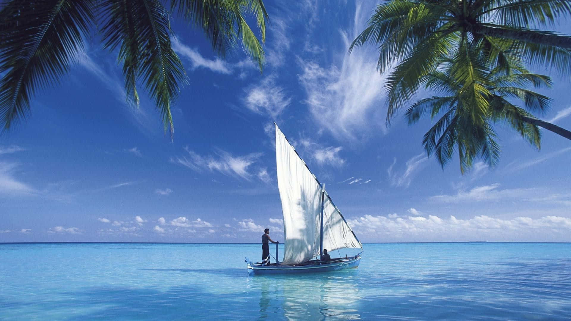 帆船上有兩個人在平靜的碧綠海水中航行，天空湛藍，棕櫚樹環繞。