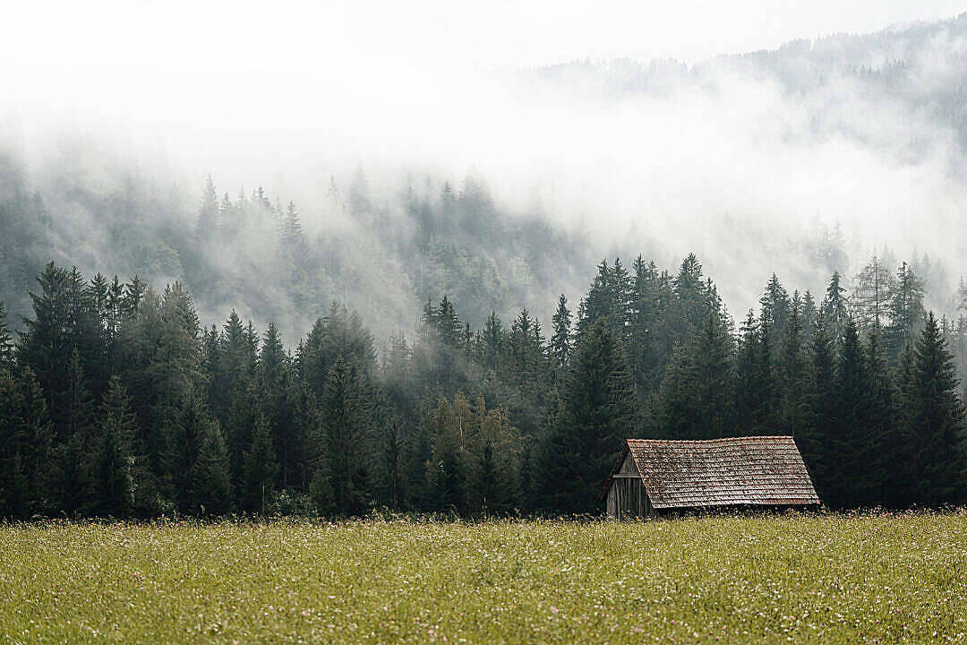 草地上的一座小木屋，後面有霧氣繚繞的松樹和山脈。